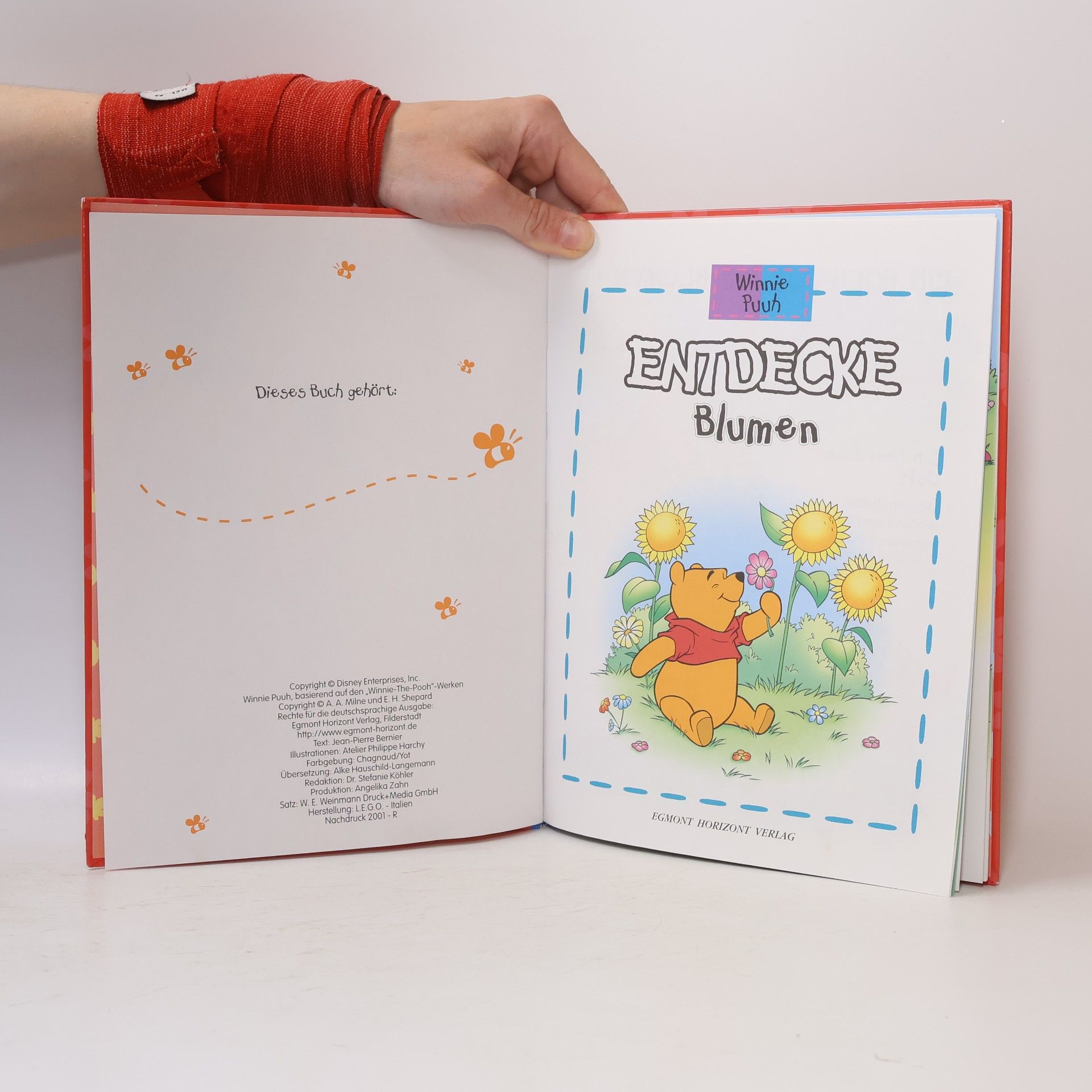 Autorenkollektiv Winnie Puuh. Entdecke Blumen