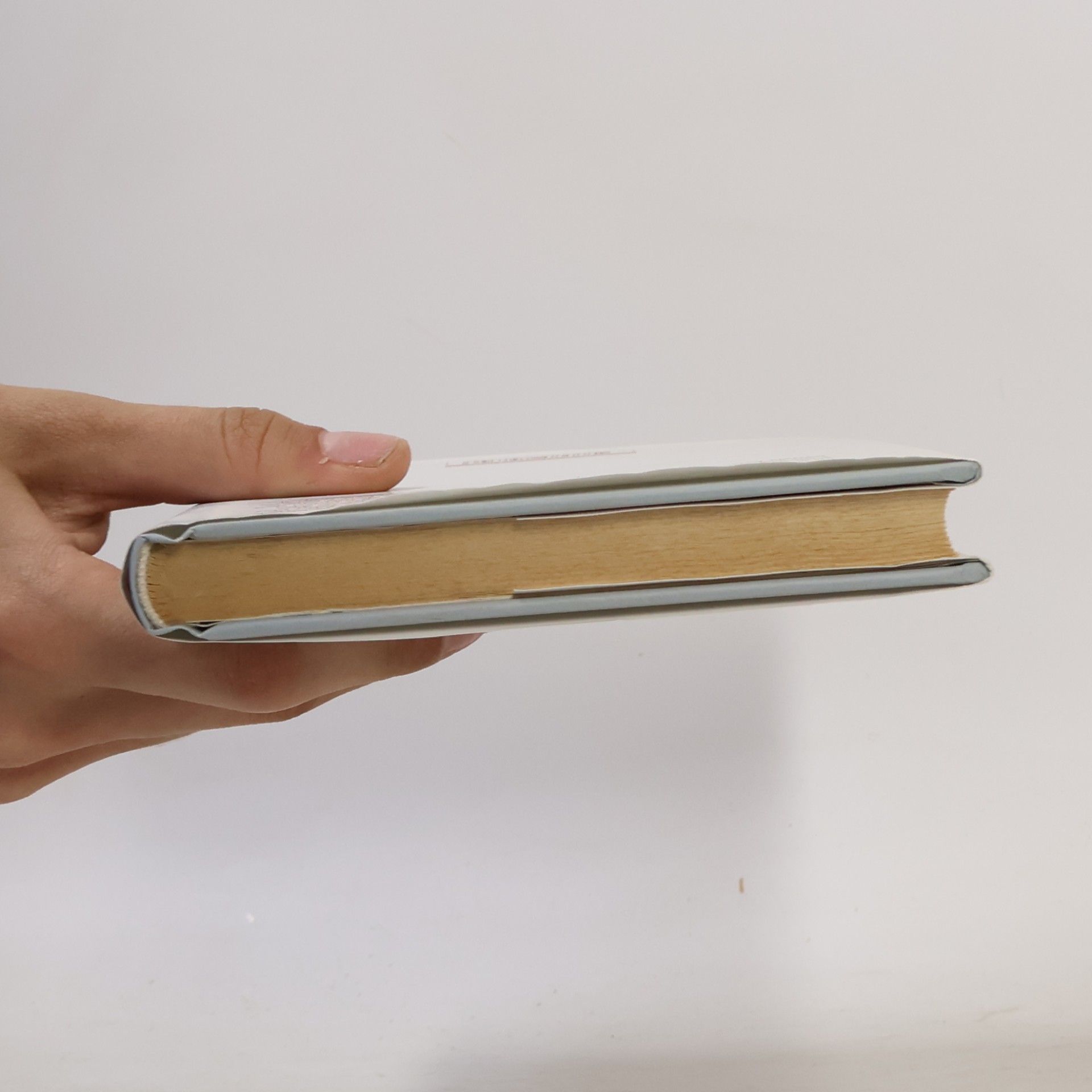 Haruki Murakami Kronika vtáčika na kľúčik I. Straka zlodejka