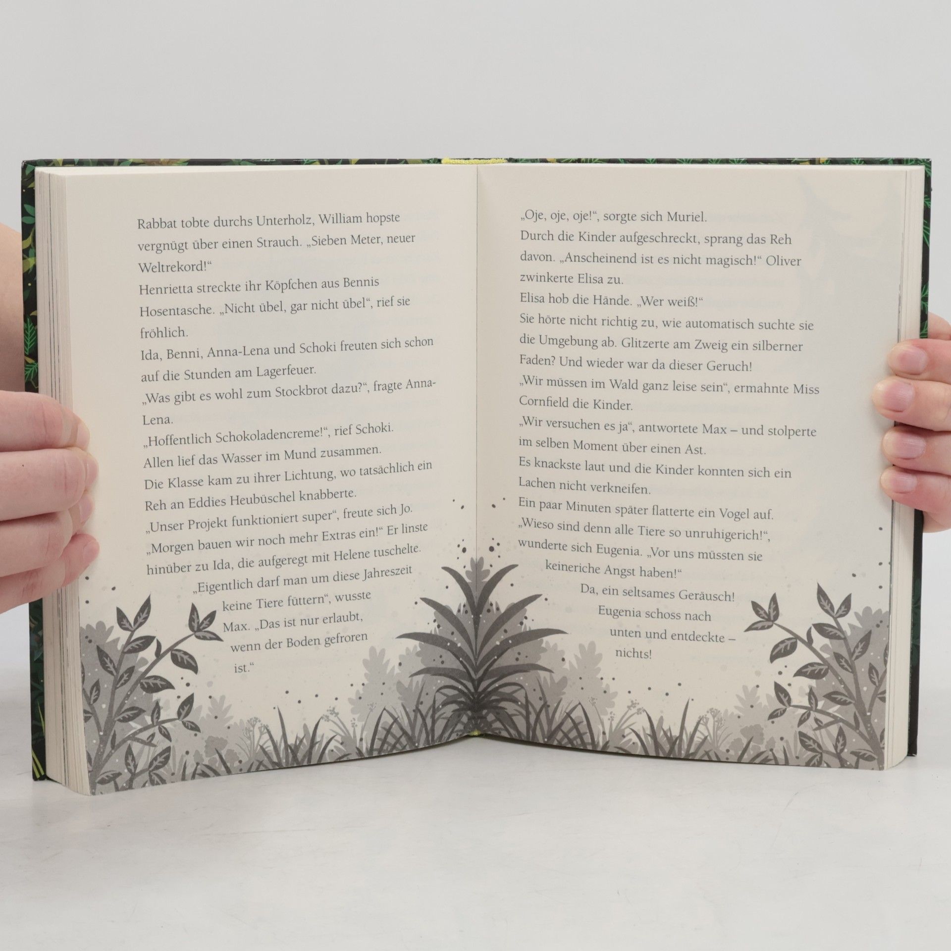 Margit Auer Die Schule der magischen Tiere. Wilder, wilder Wald!