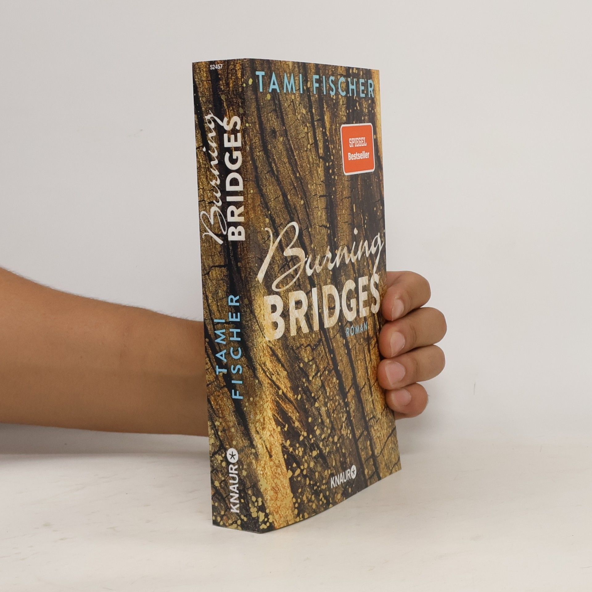 Tami Fischer Burning bridges