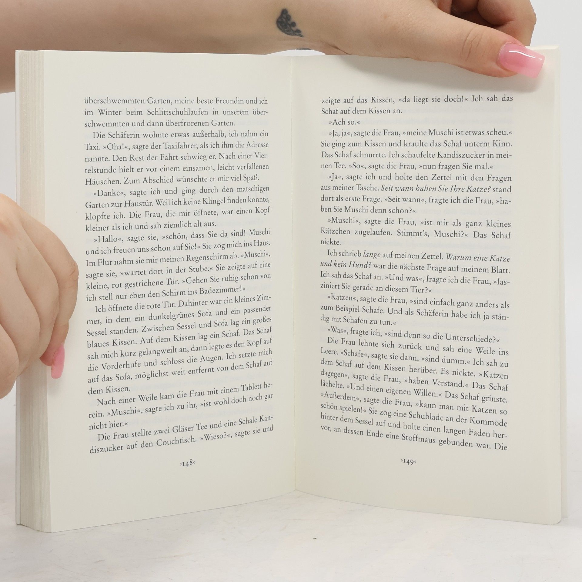 Autorenkollektiv Man kann im Leben auf vieles verzichten, aber nicht auf Katzen und Literatur