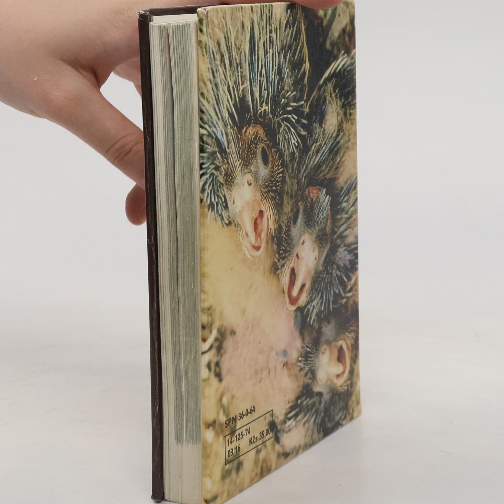 Zdeněk Veger Kapesní atlas cizokrajných ptáků