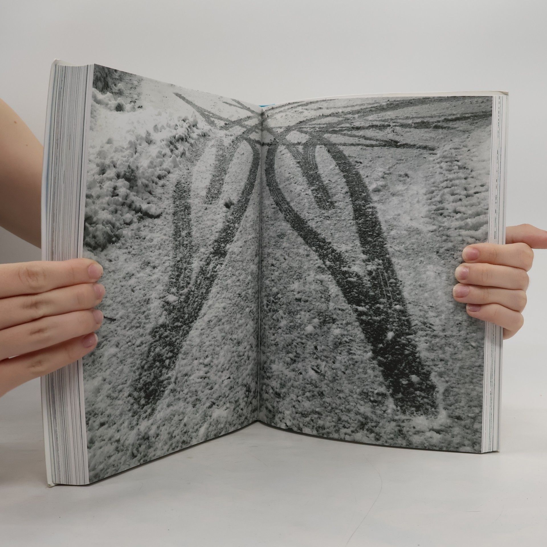 Leo Bormans Glück. The World Book of Happiness