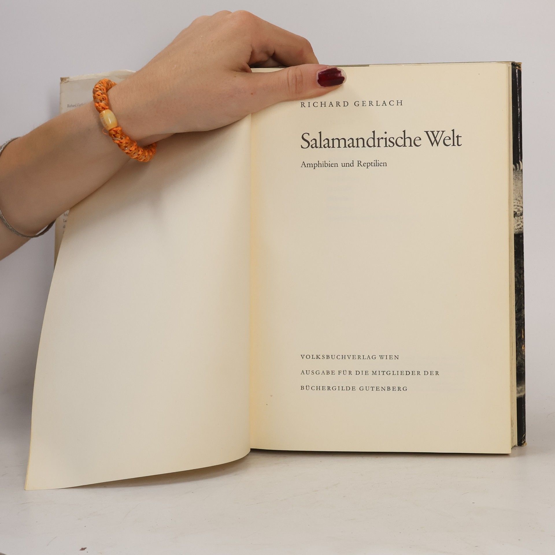 Richard Gerlach Salamandrische Welt