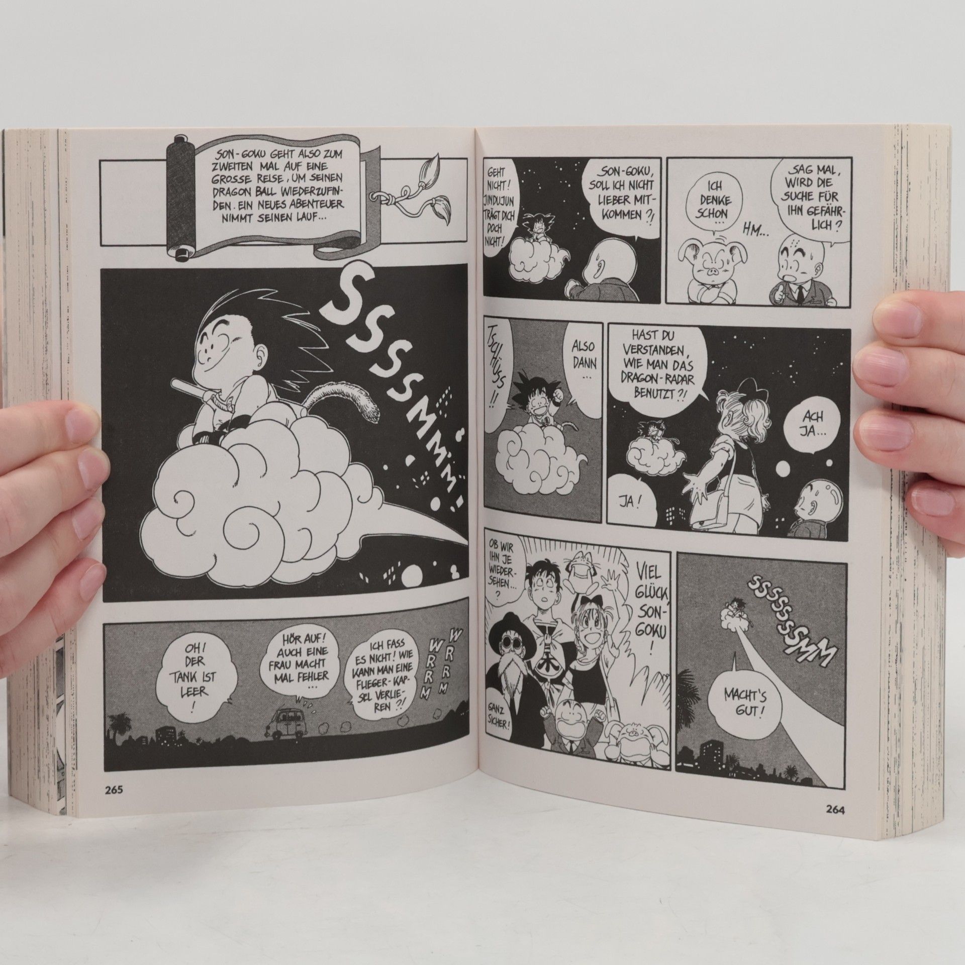 Akira Toriyama Dragon Ball Massiv 2
