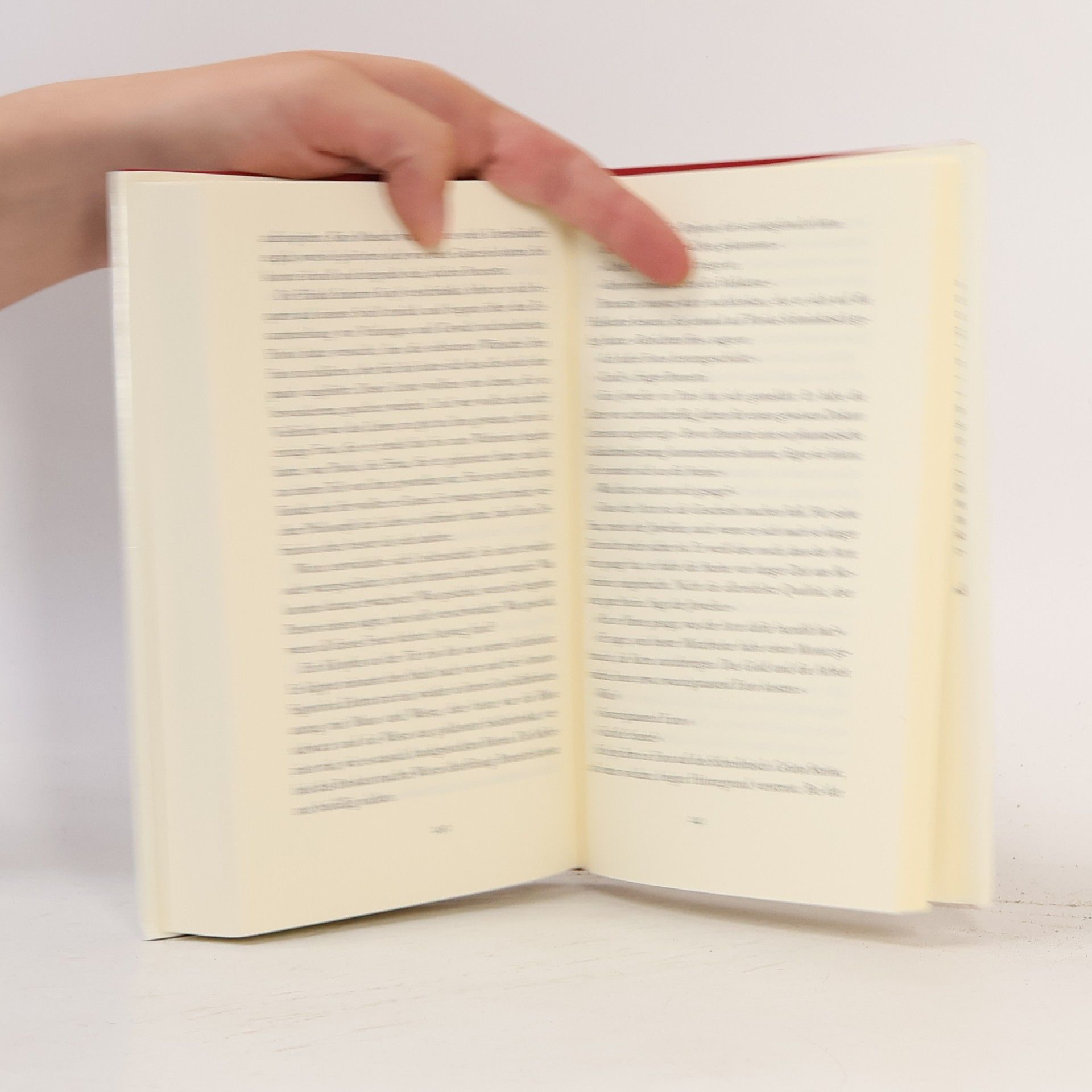 Donna Leon Endlich mein