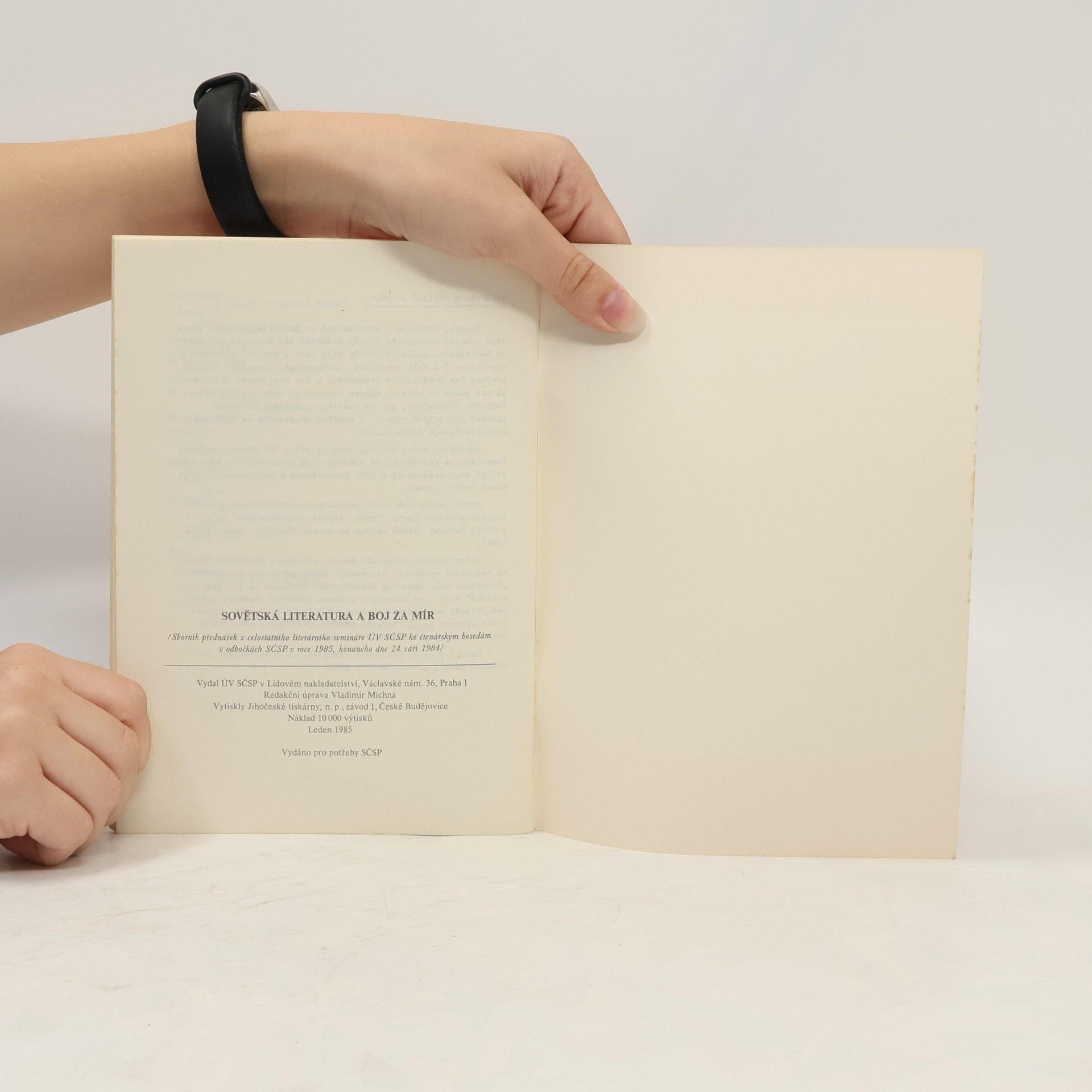 Autorenkollektiv Sovětská literatura a boj za mír