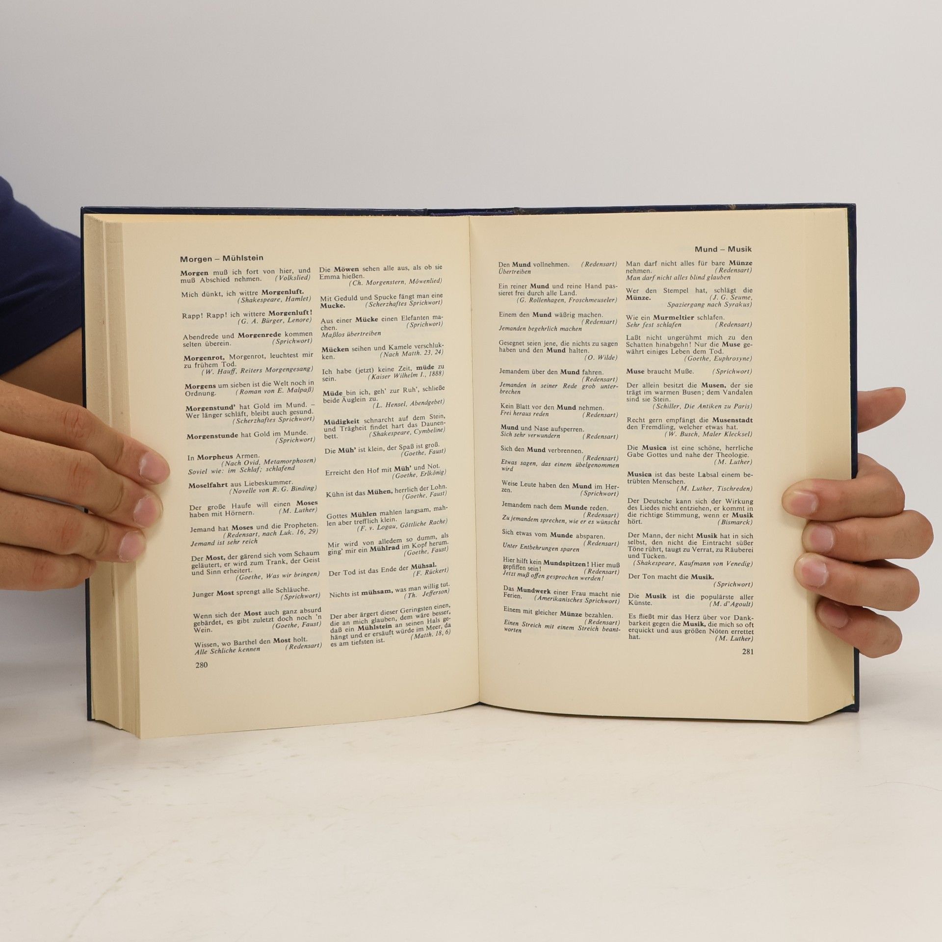 Gerhard Hellwig Das grosse Buch der Zitate