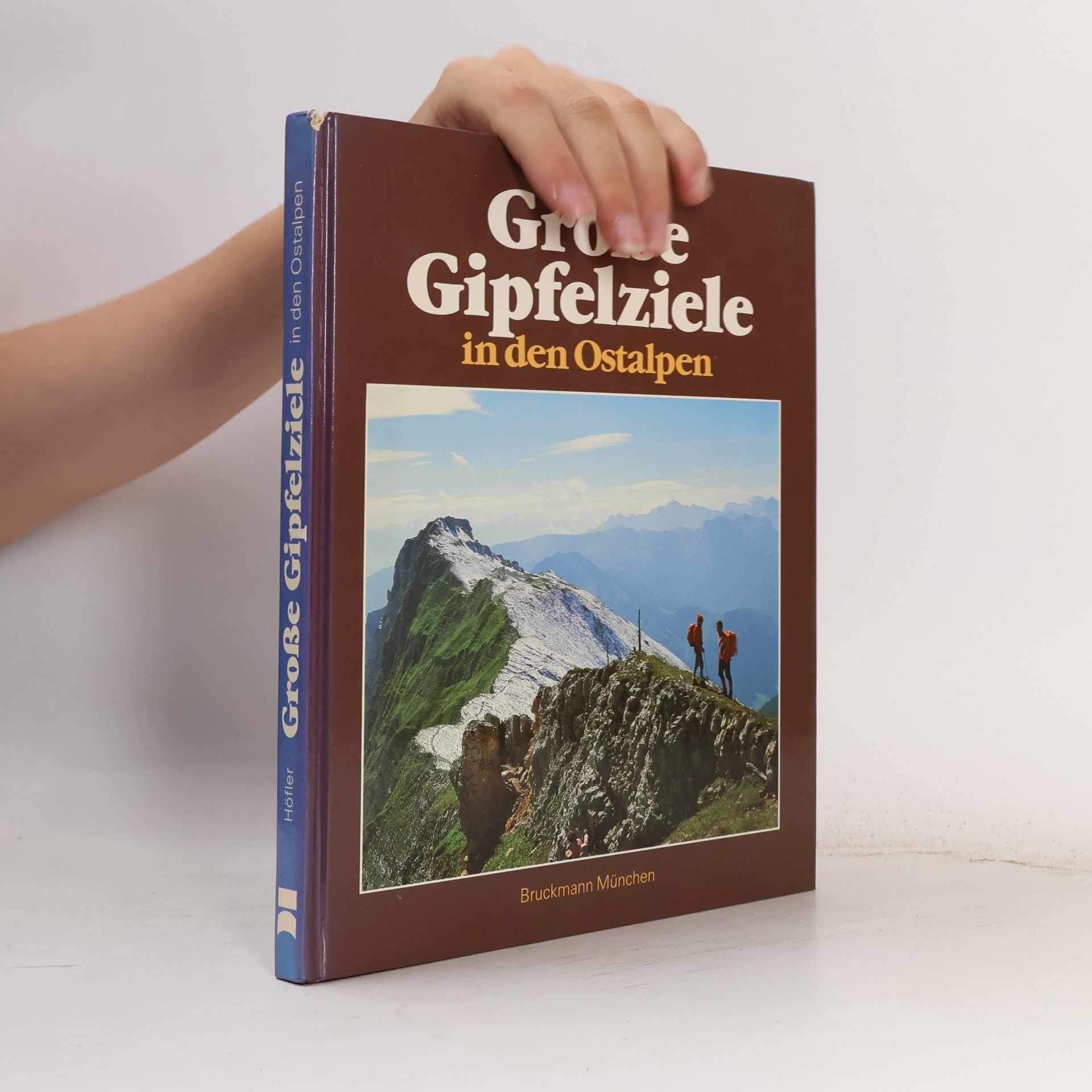 Autorenkollektiv Große Gipfelziele in den Ostalpen
