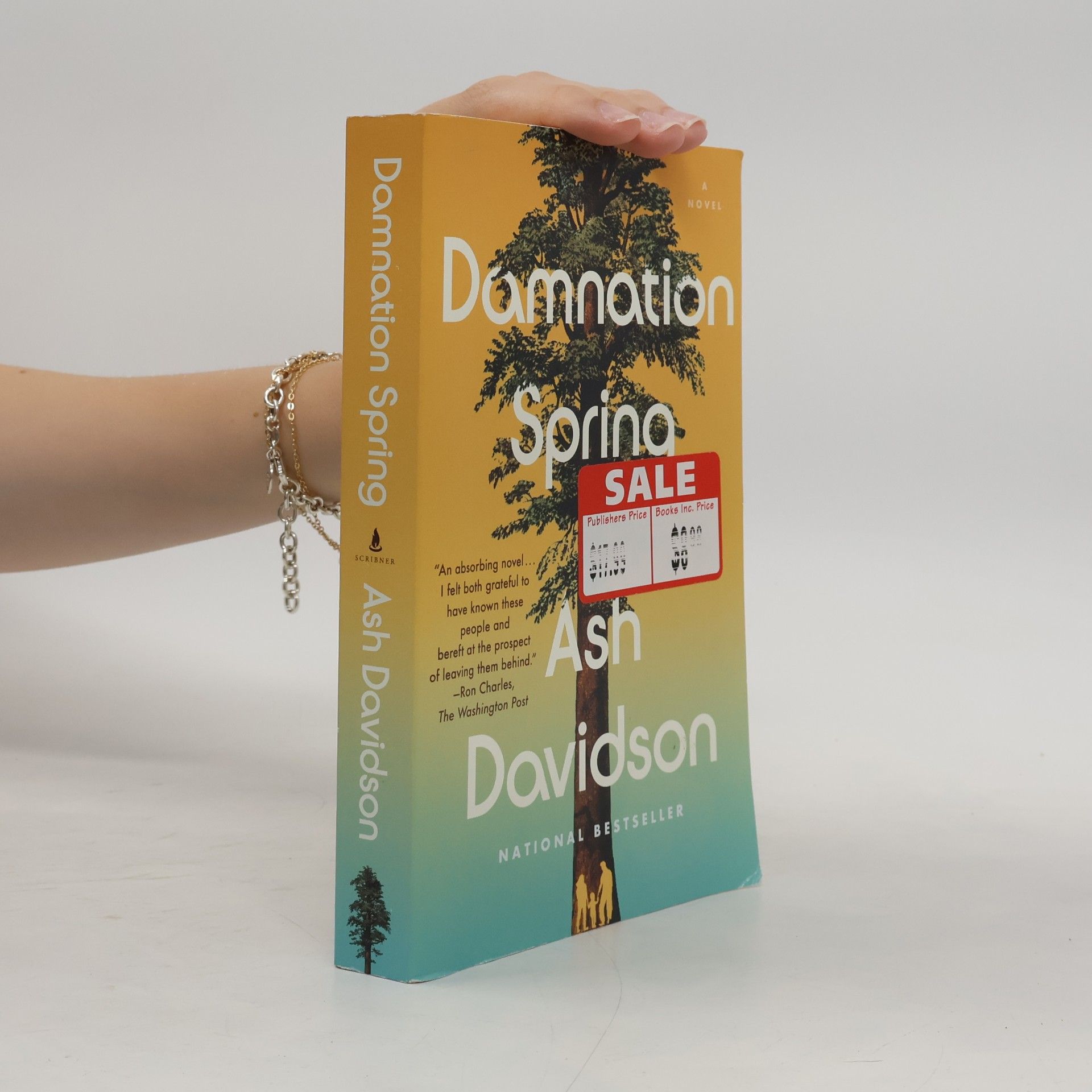 Ash Davidson Damnation Spring