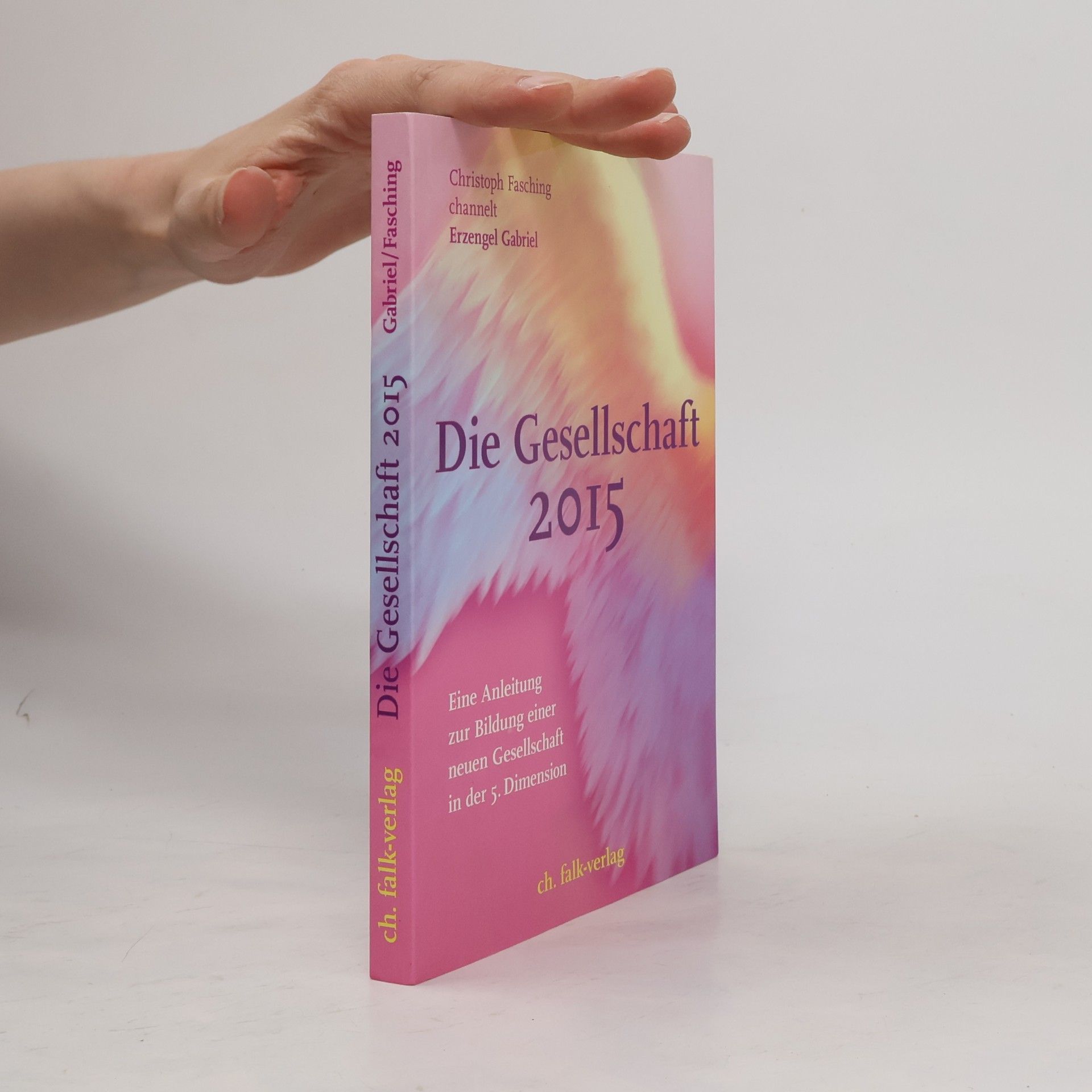 Christoph Fasching Die Gesellschaft 2015