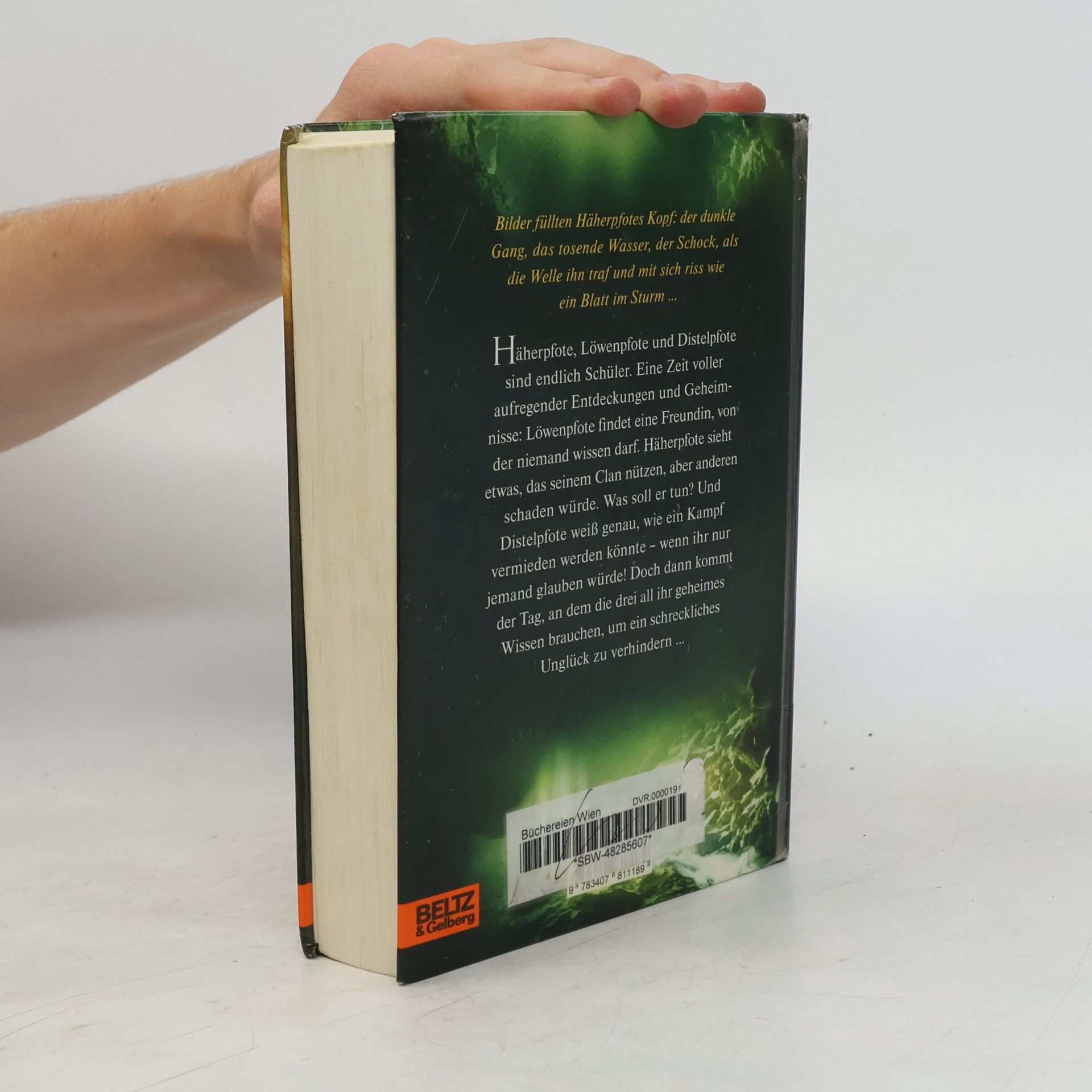 Erin Hunter Warrior Cats. Fluss der Finsternis