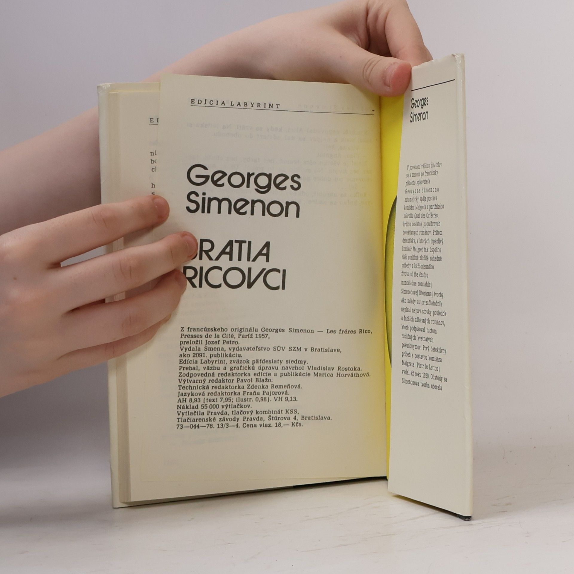 Georges Simenon Bratia Ricovci
