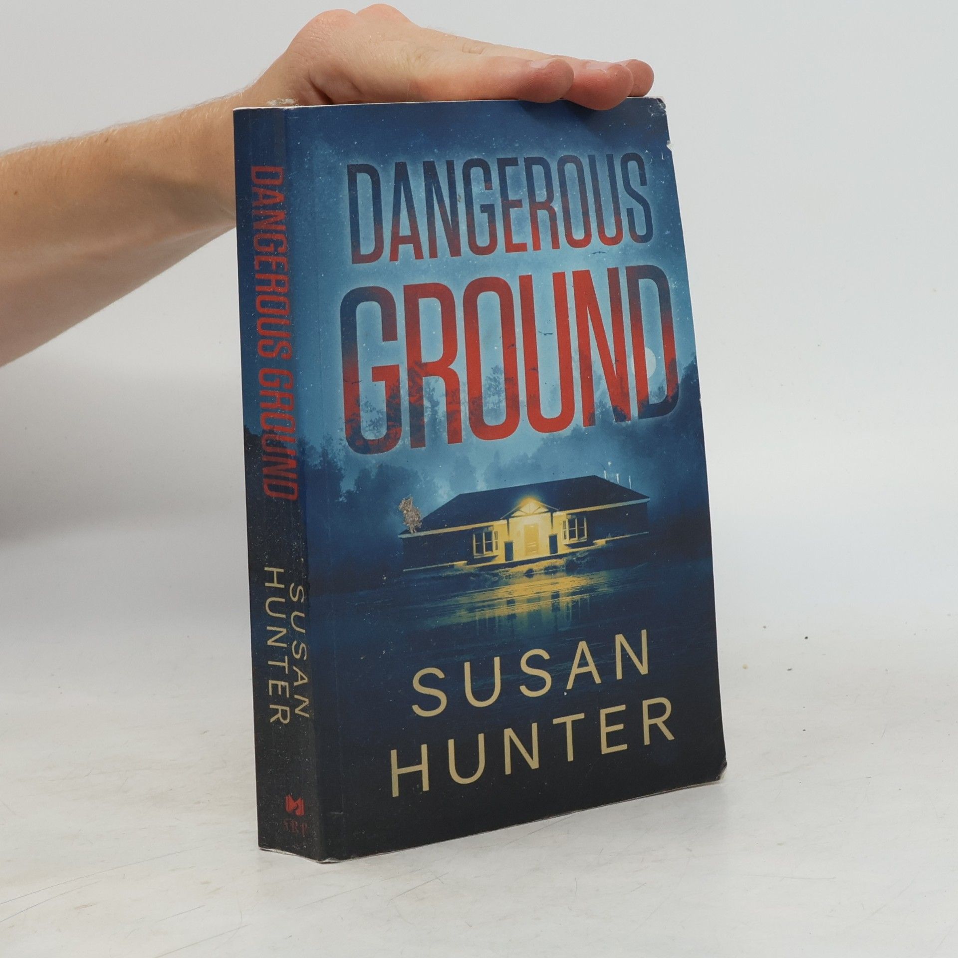 Susan Hunter Leah Nash Mysteries - 6: Dangerous Ground