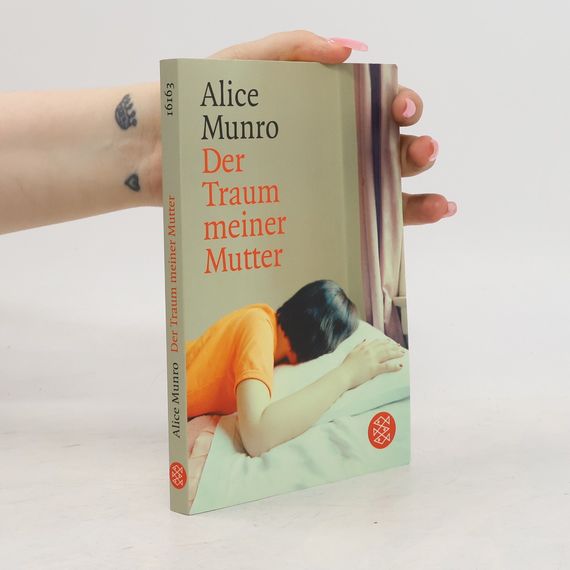 Alice Munro Der Traum meiner Mutter