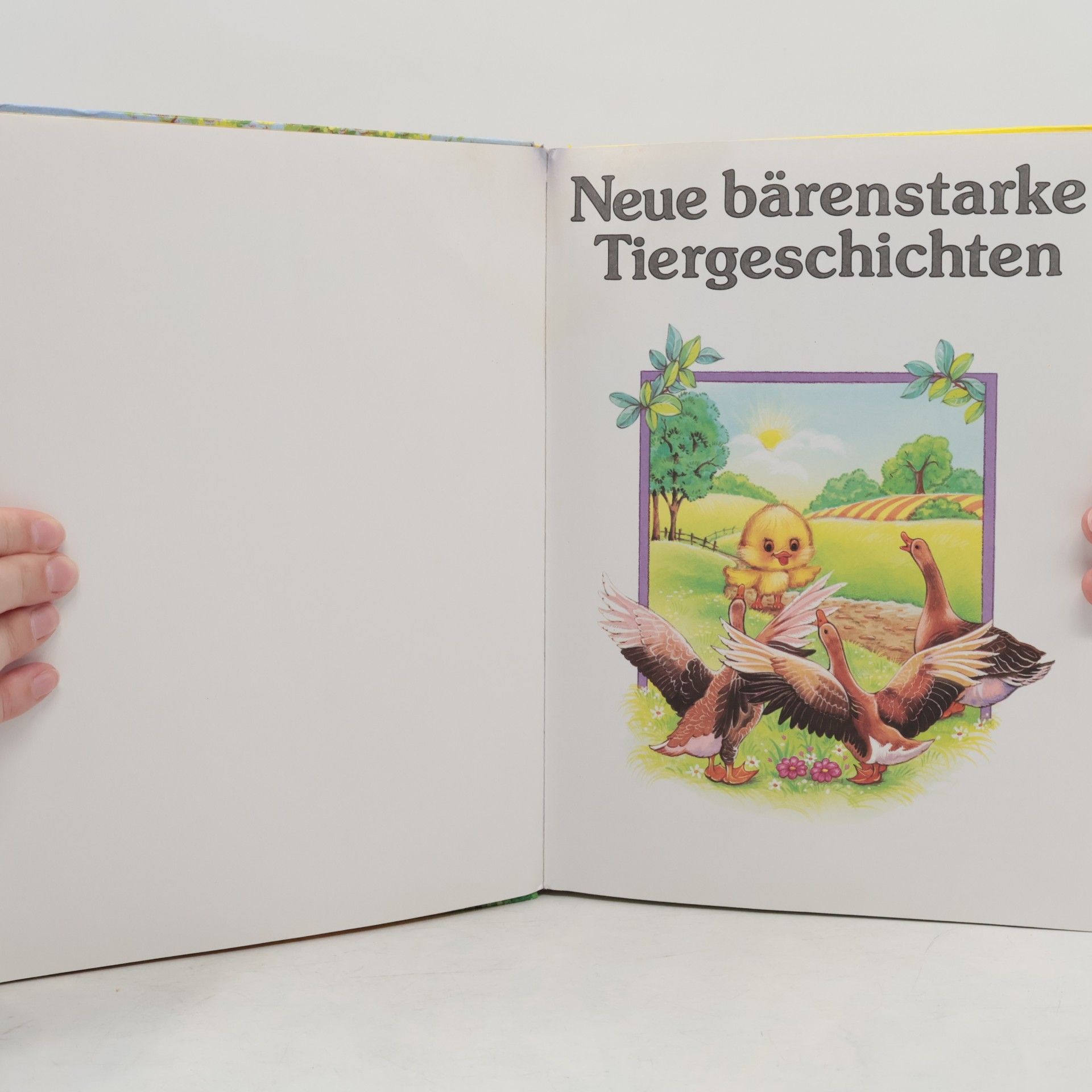 AA.VV. Neue bärenstarke Tiergeschichten