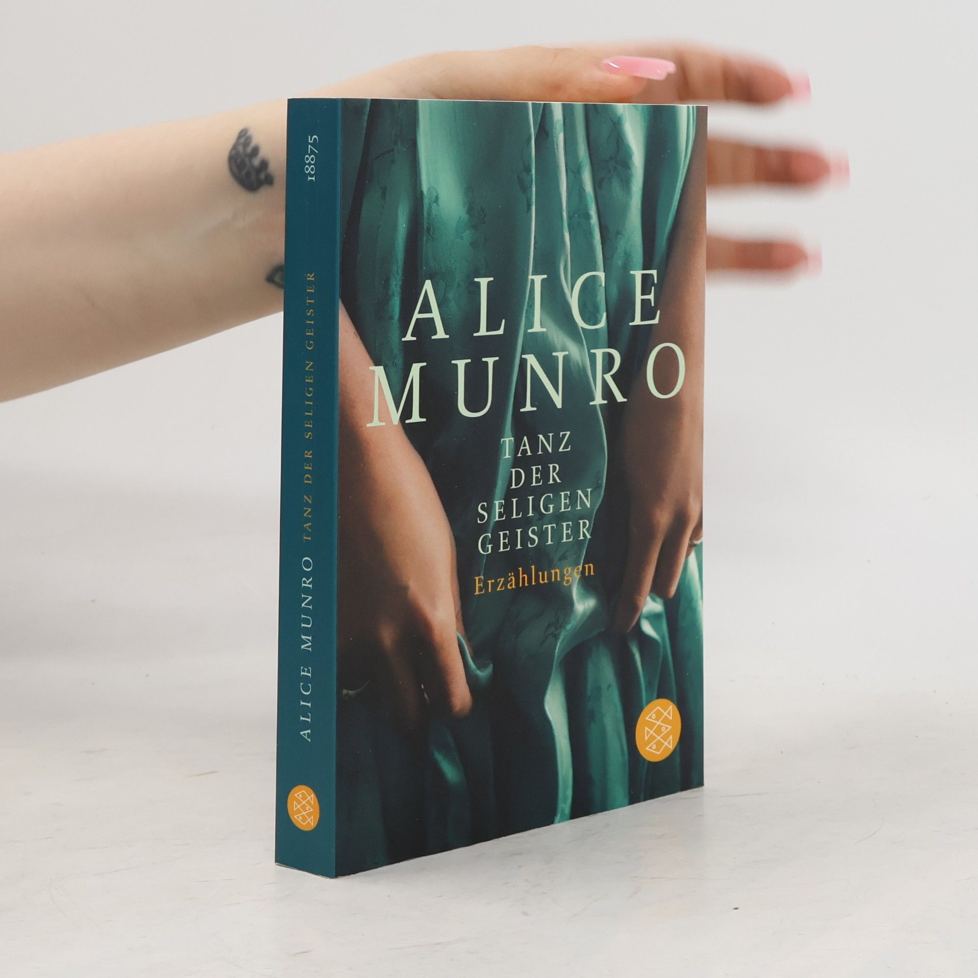 Alice Munro Tanz der seligen Geister