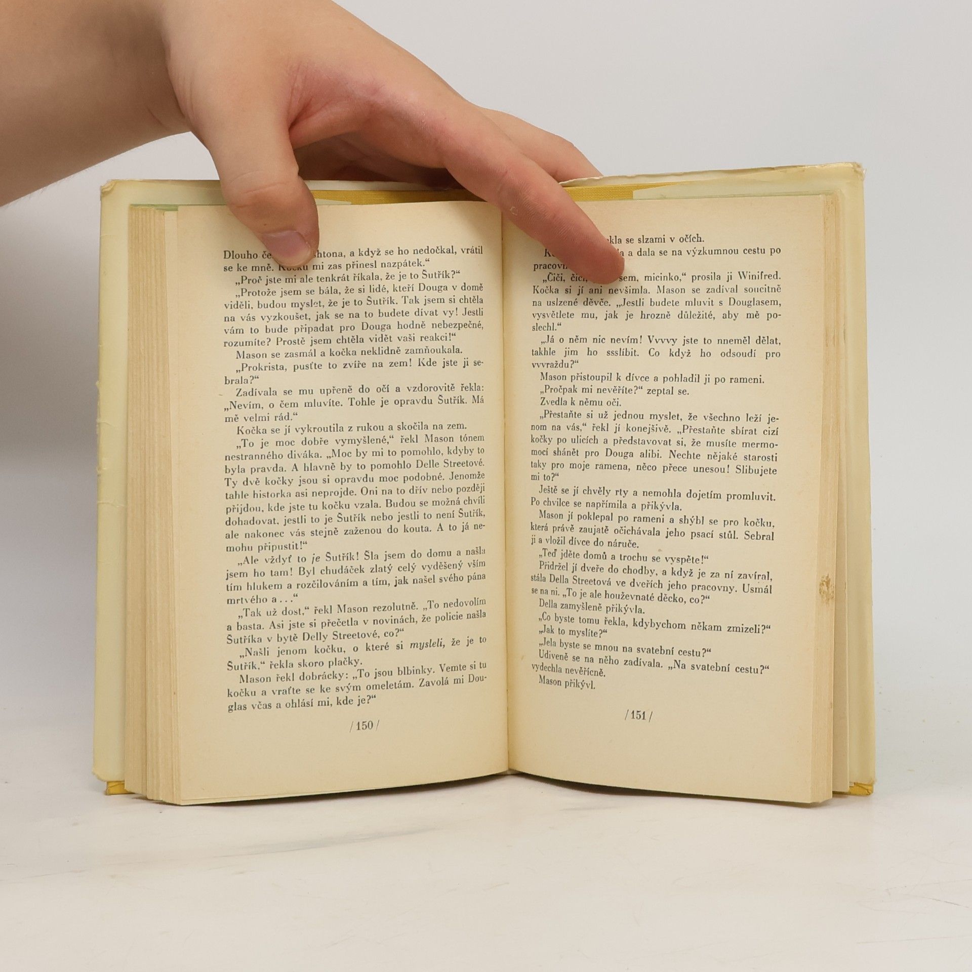 Erle Stanley Gardner Případ domovníkovy kočky