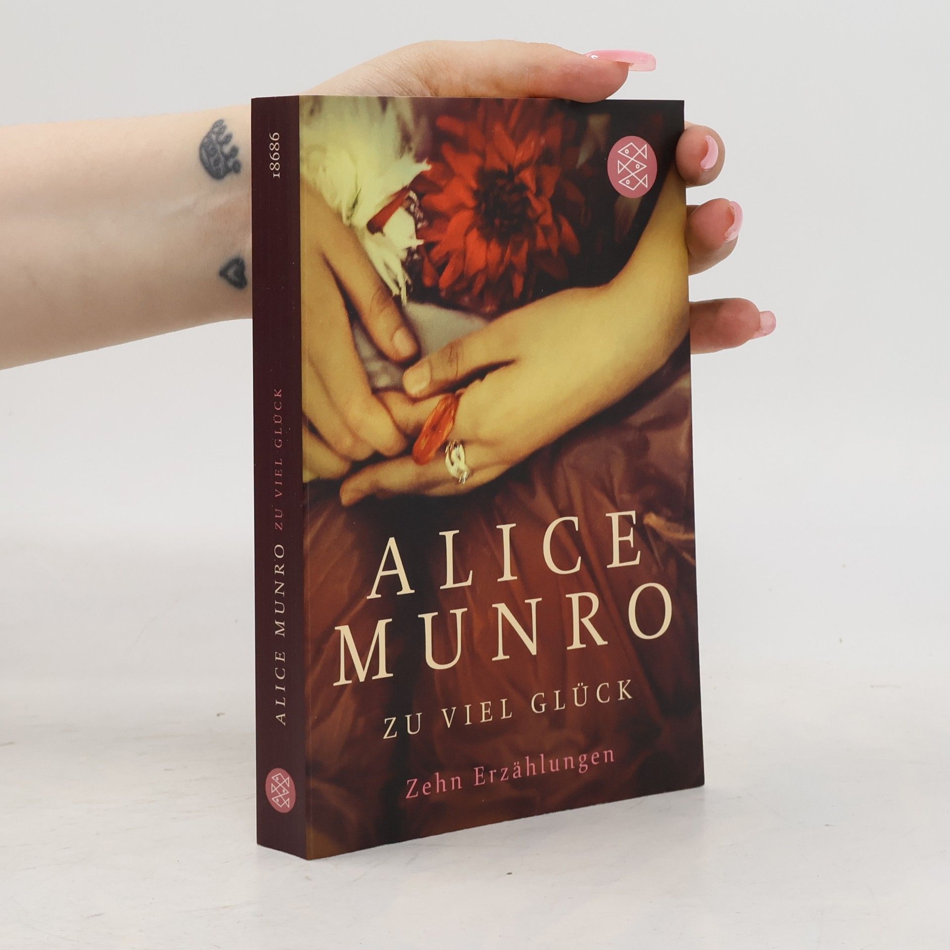 Alice Munro Zu viel Glück. zehn erzählungen