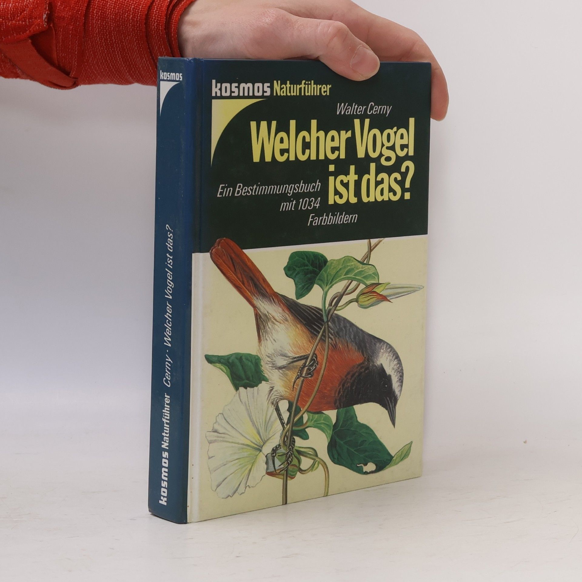 Walter Černý Welcher Vogel ist das?