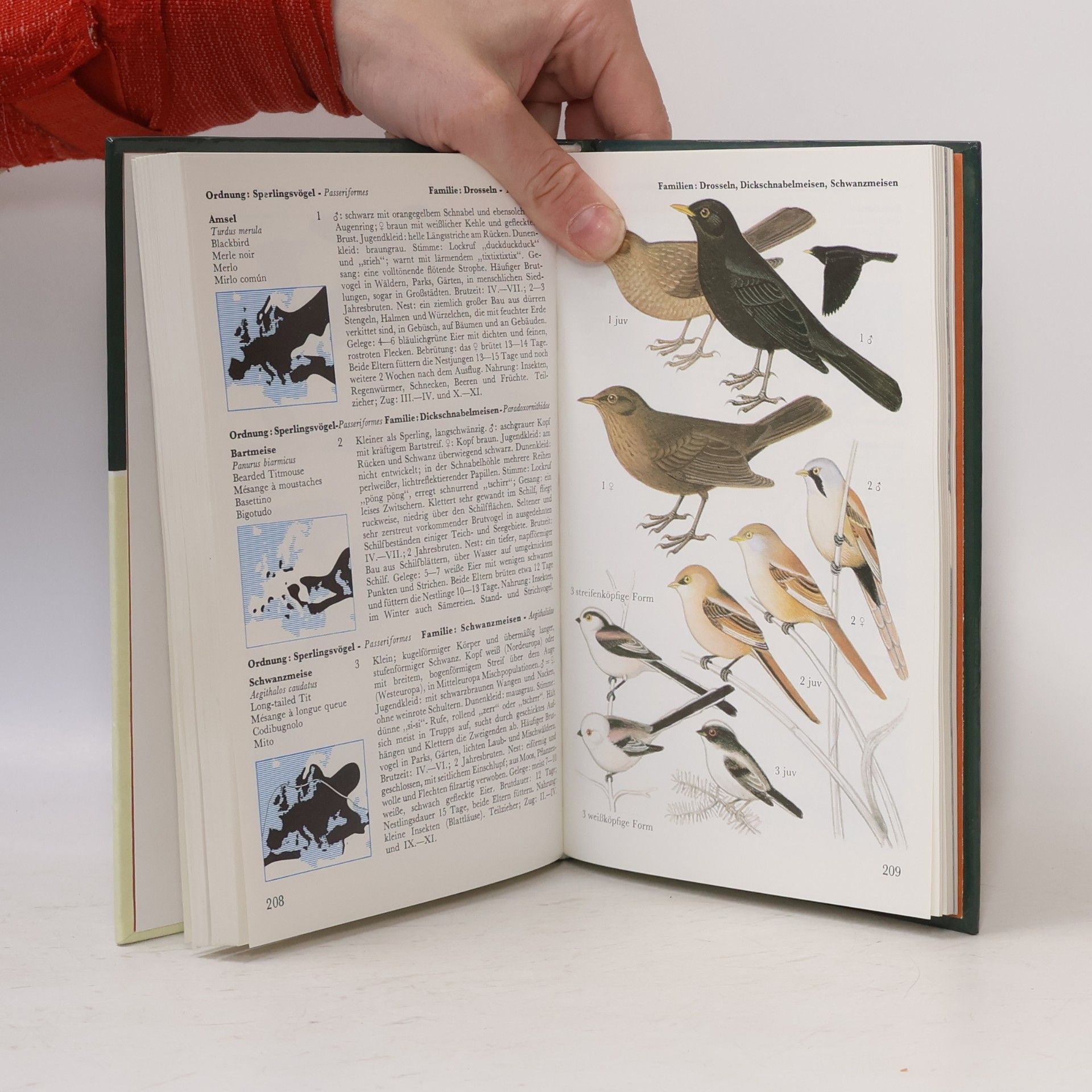 Walter Černý Welcher Vogel ist das?