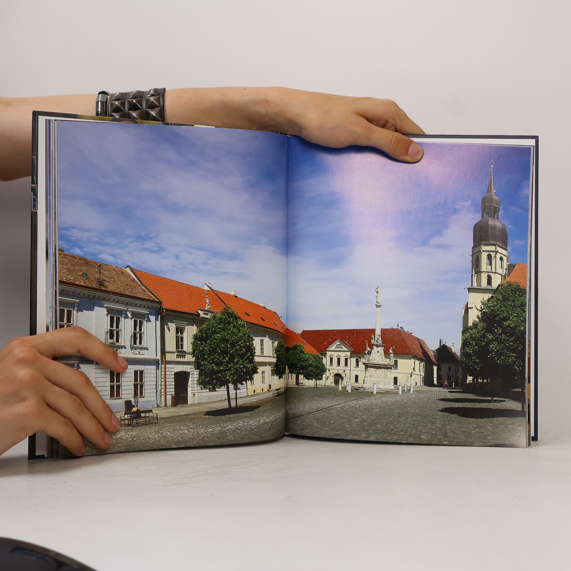 Dana Zacharová Trnava: Mestská pamiatková rezervácia (Trnava: Town Monumental Zone)