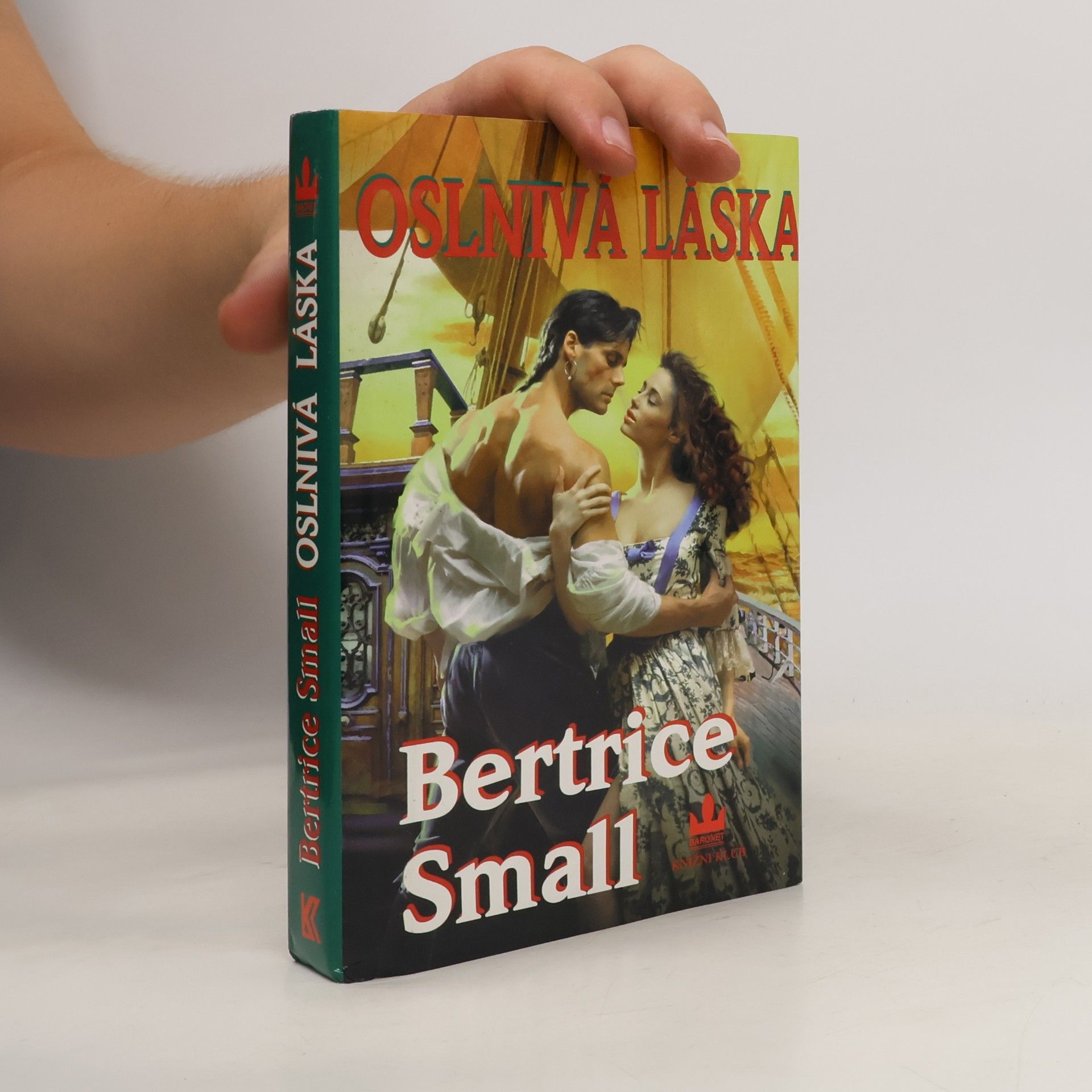 Bertrice Small Oslnivá láska