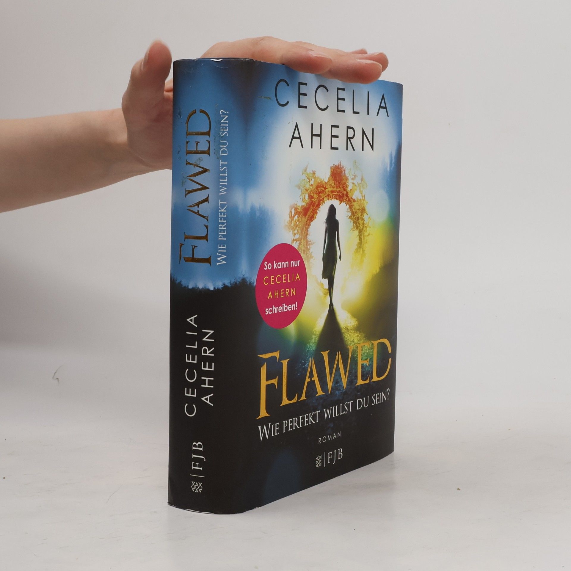 Cecelia Ahern Flawed - wie perfekt willst du sein?