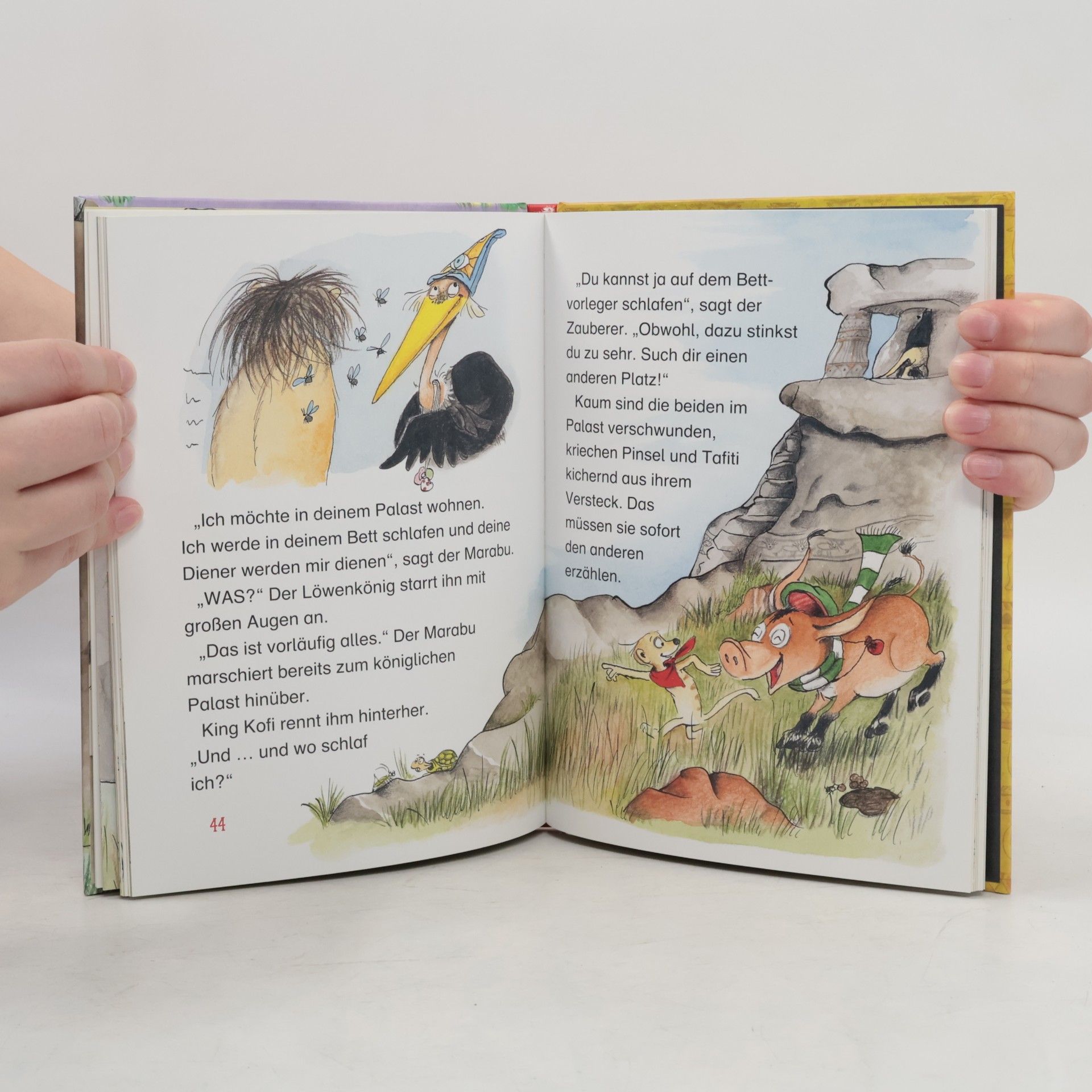 Julia Boehme Tafiti und das große Zauberer