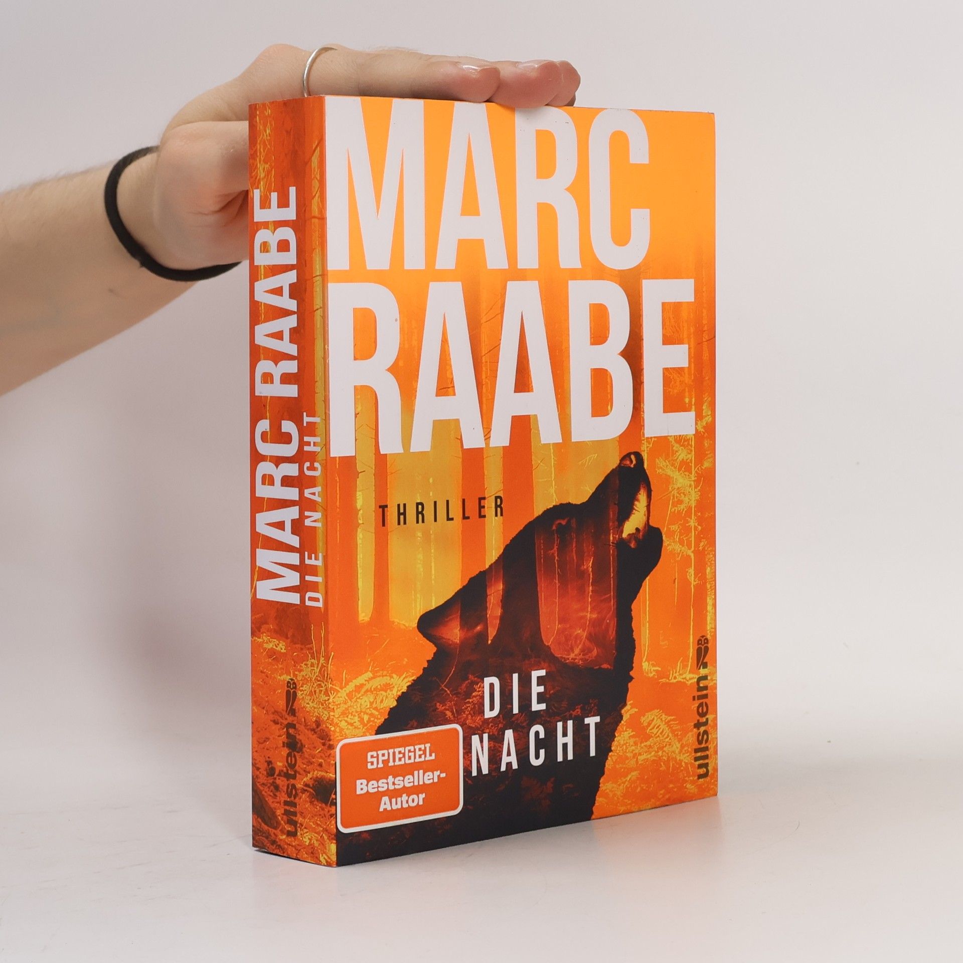 Marc Raabe Die Nacht