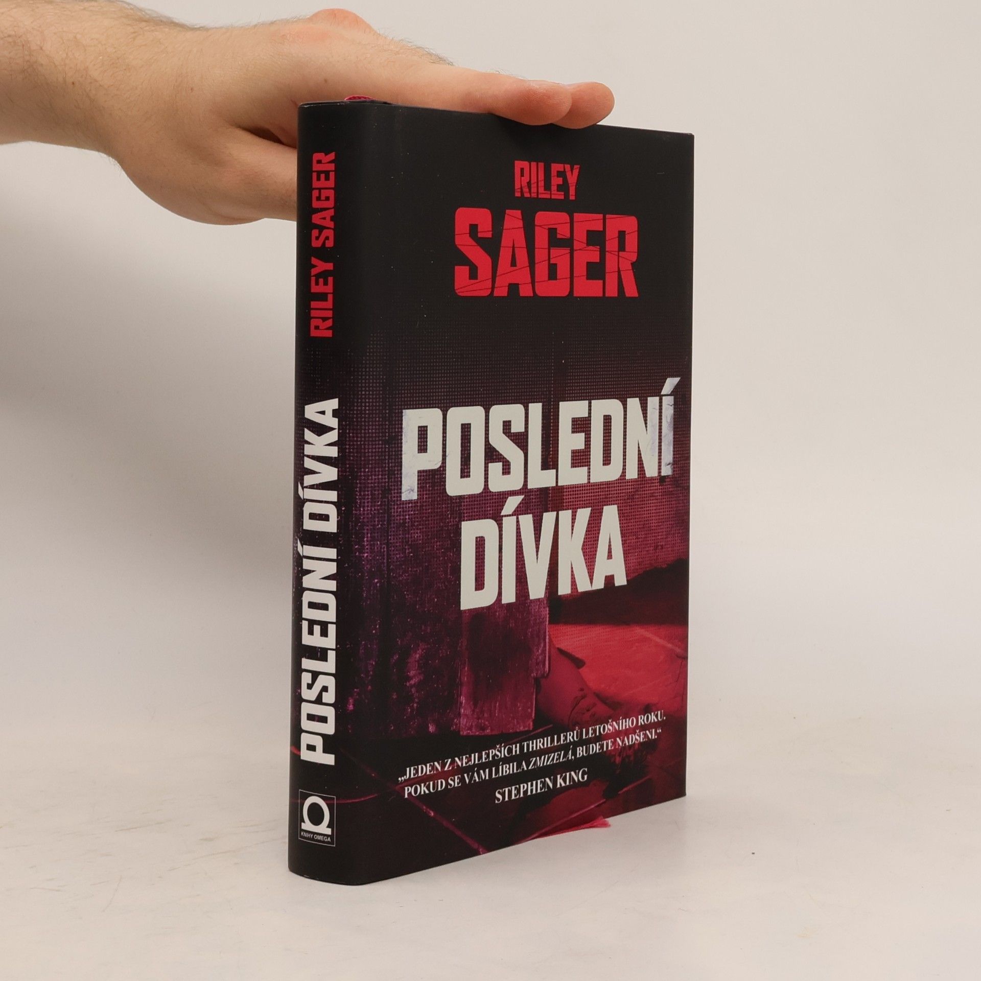 Todd Ritter Poslední dívka