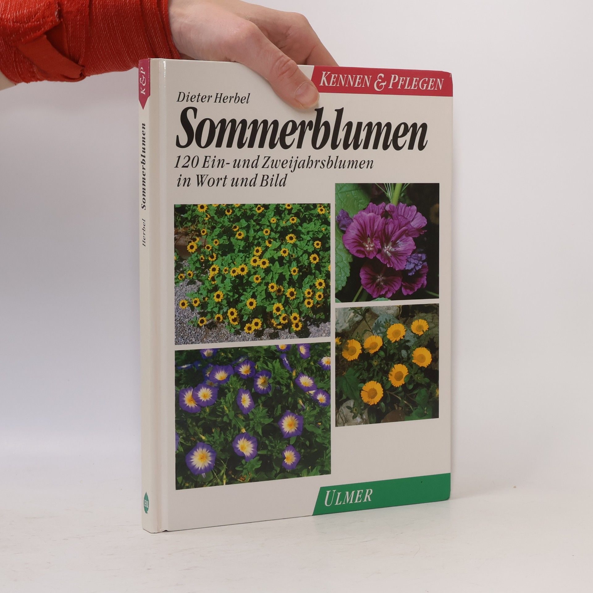 Dieter Herbel Kennen & Pflegen: Sommerblumen