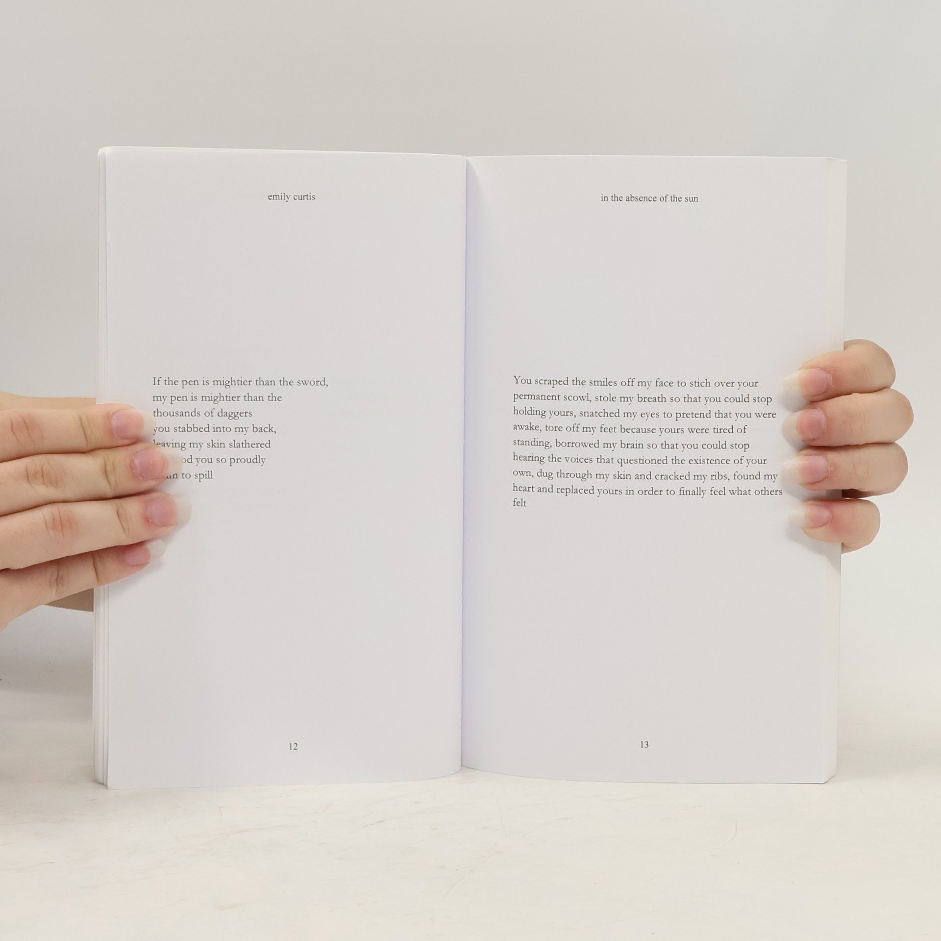 Emily Curtis In the Absence of the Sun