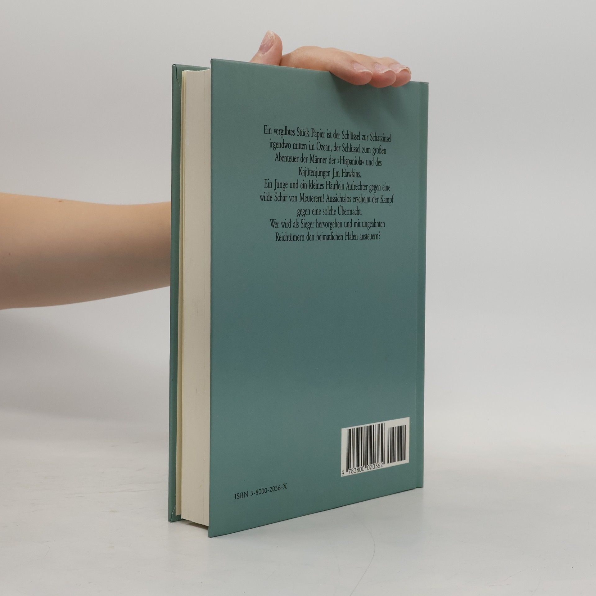Robert Louis Stevenson Die Schatzinsel