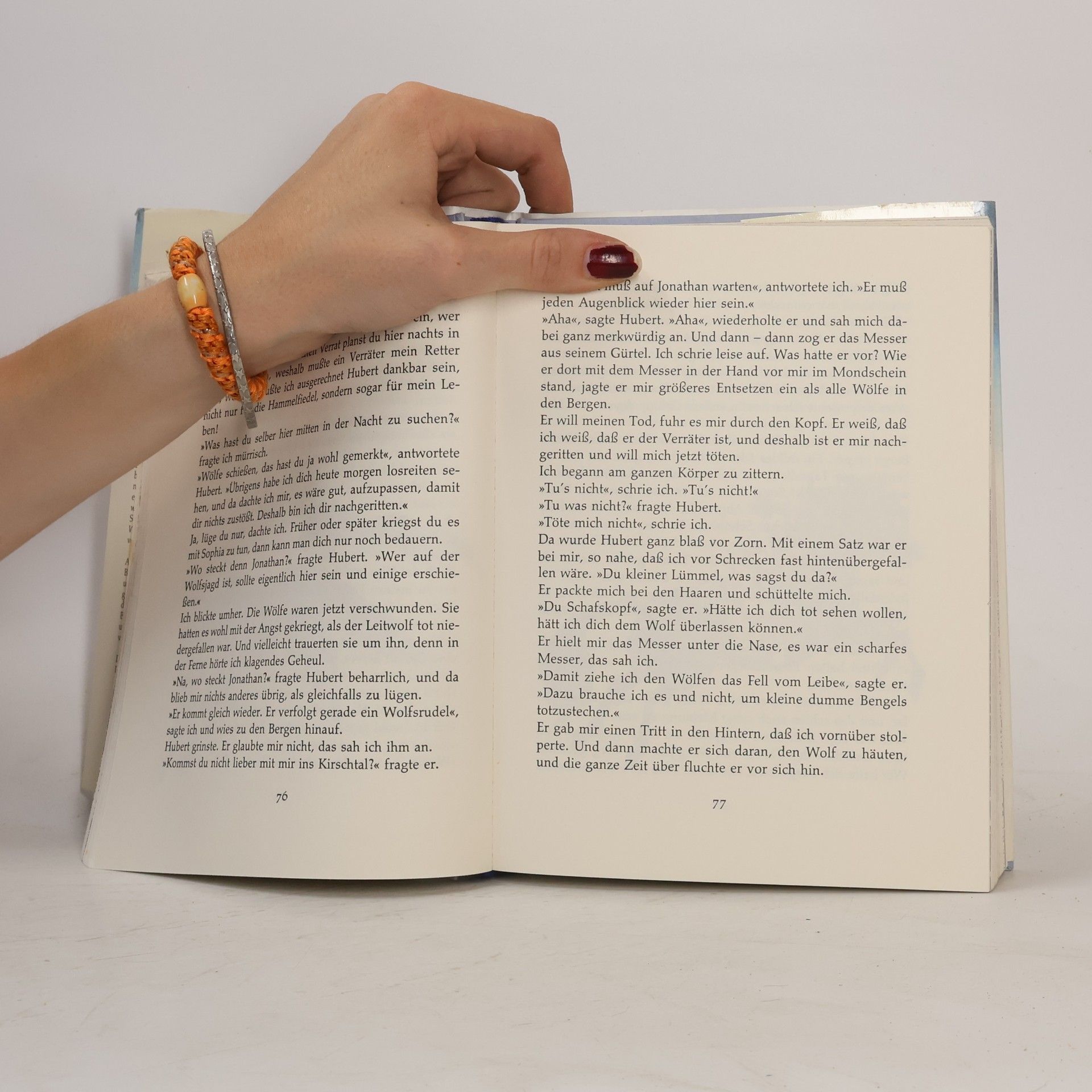 Astrid Lindgren Die Brüder Löwenherz