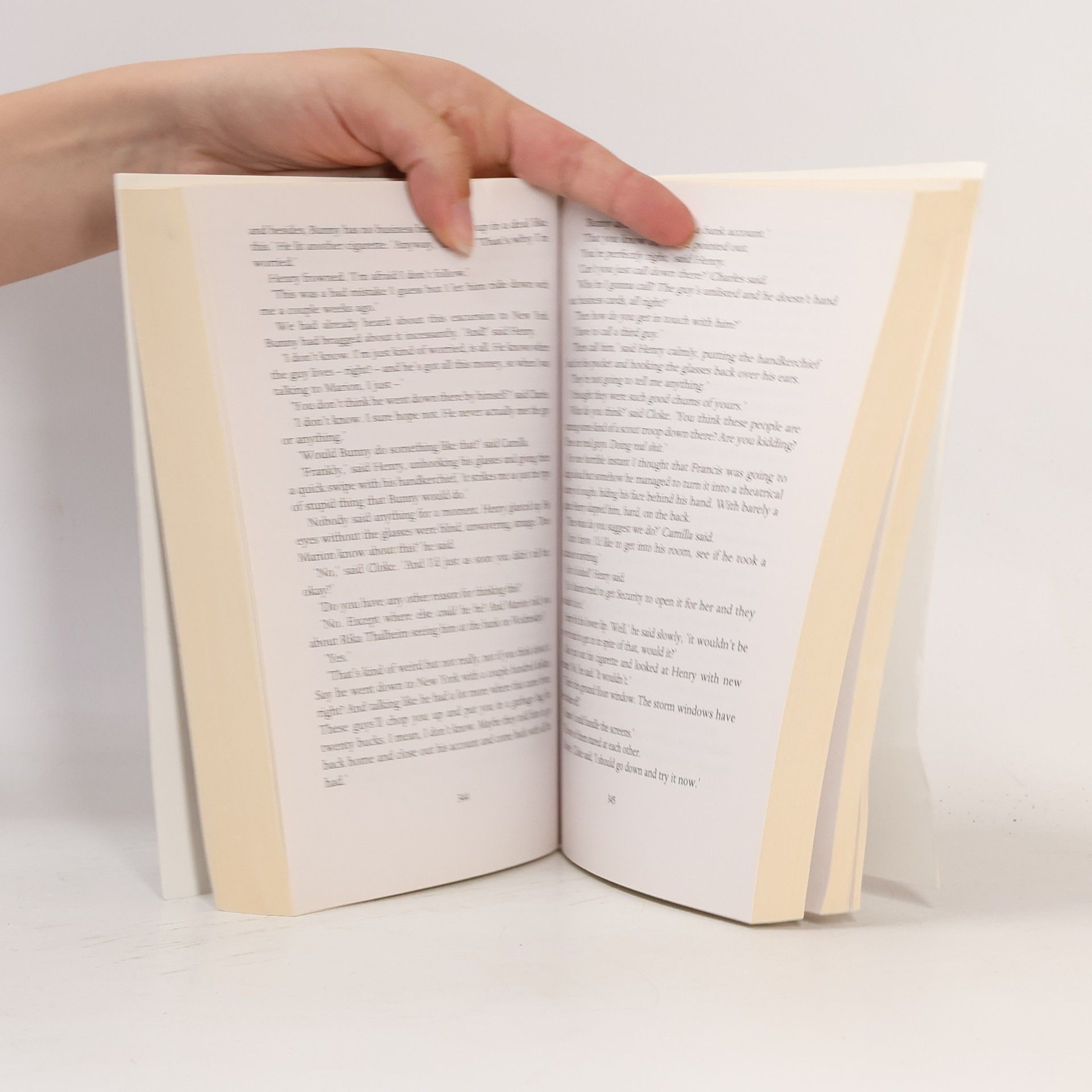 Donna Tartt The Secret History