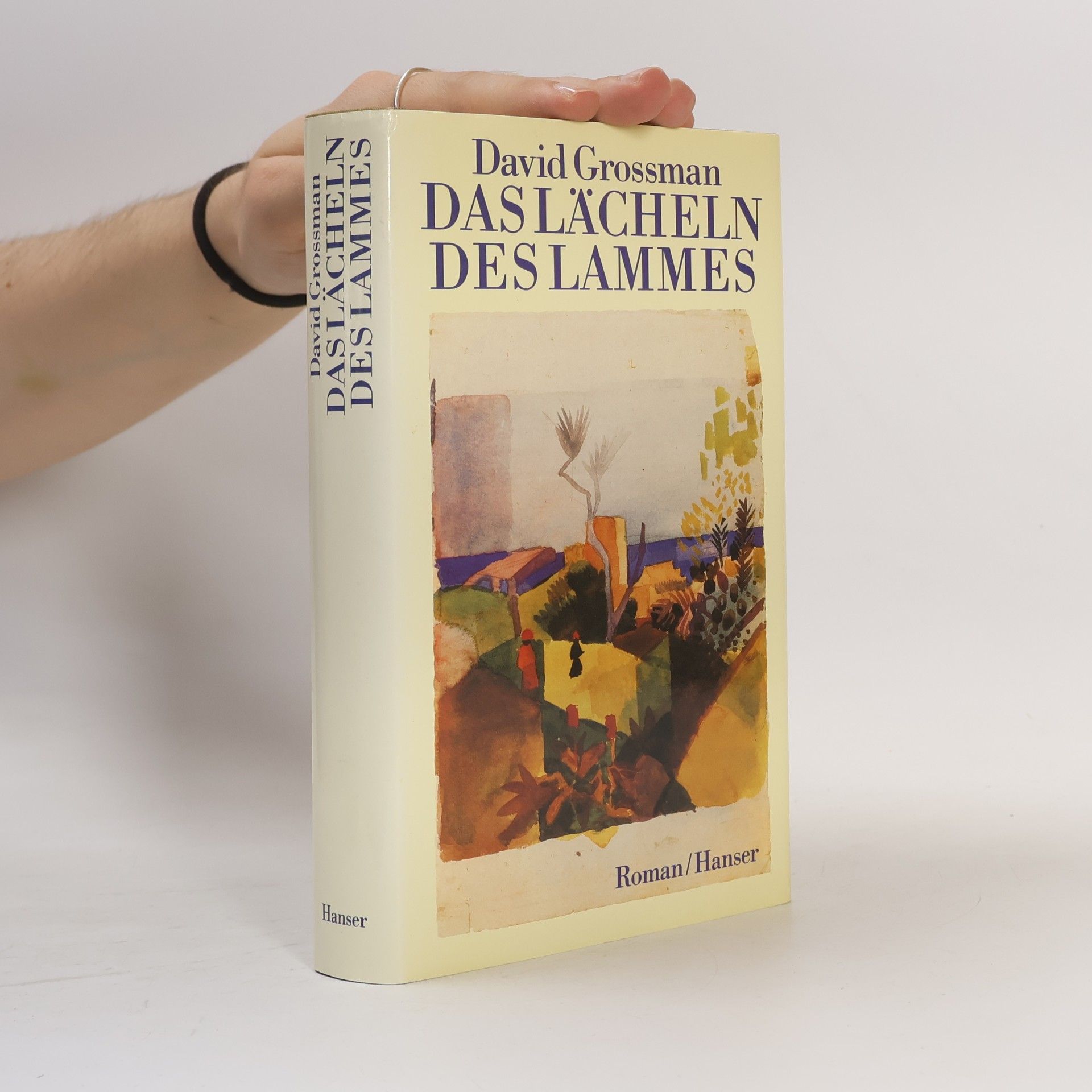 David Grossman Das Lächeln des Lammes