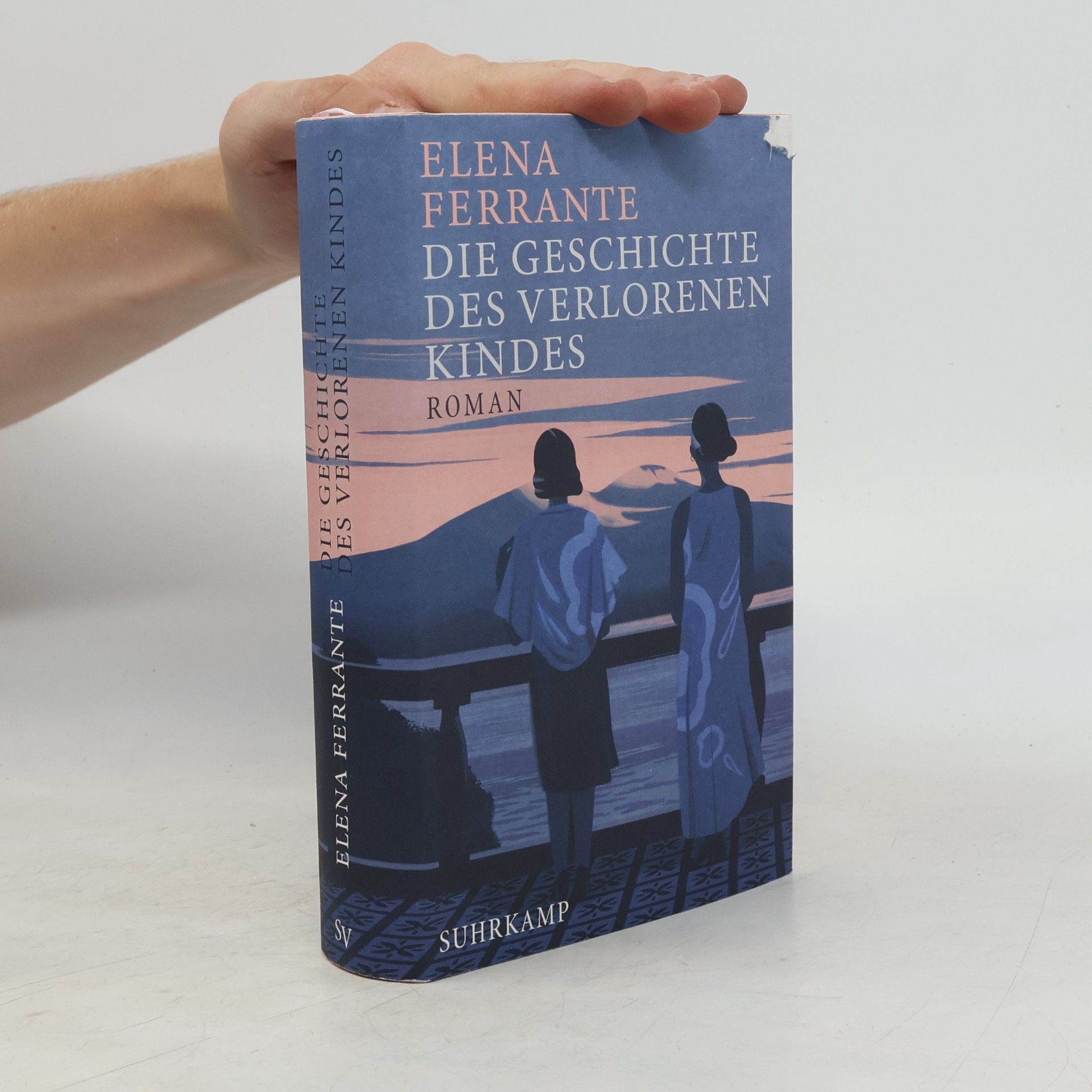 Elena Ferrante Die Geschichte Des Verlorenen Kindes