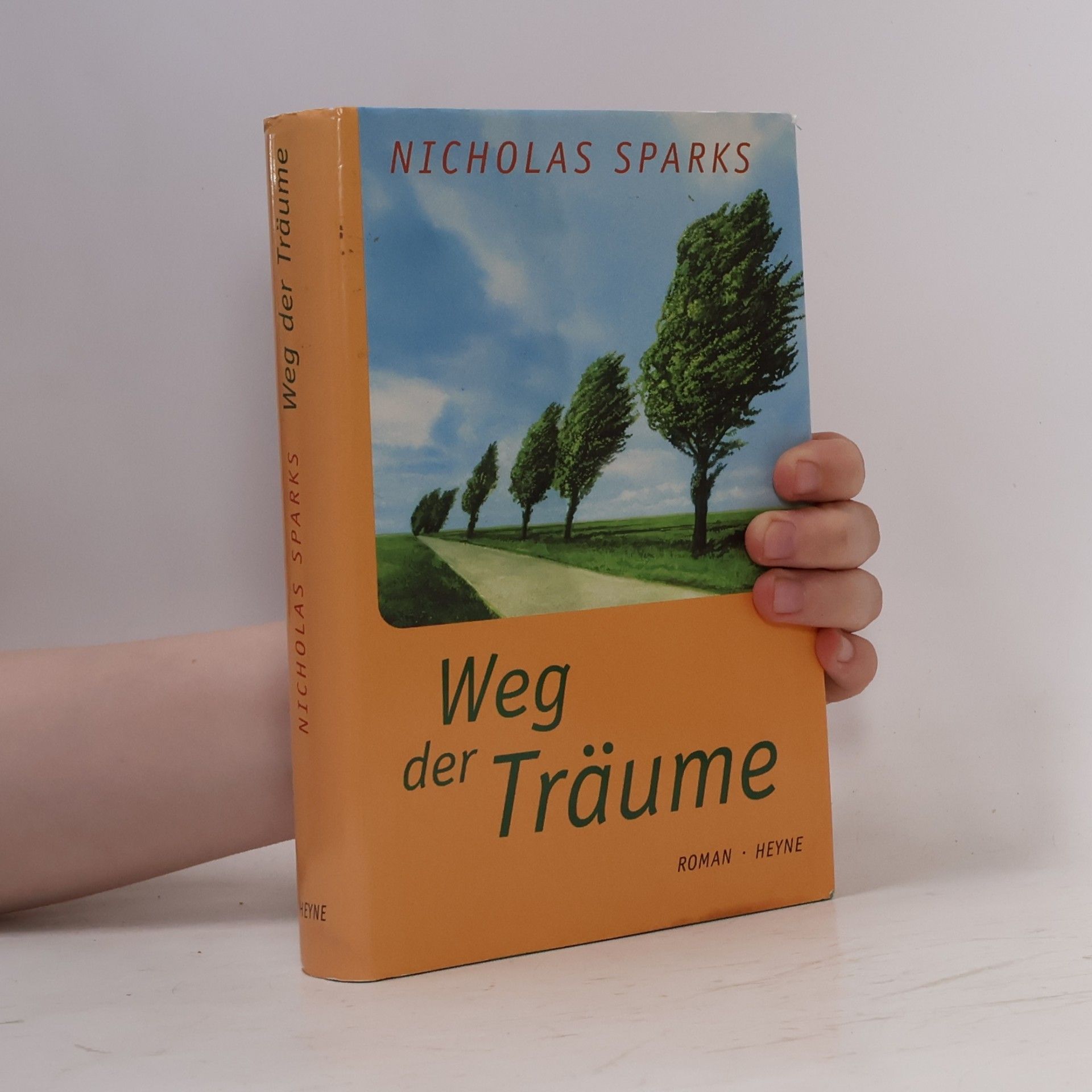 Nicholas Sparks Weg der Träume
