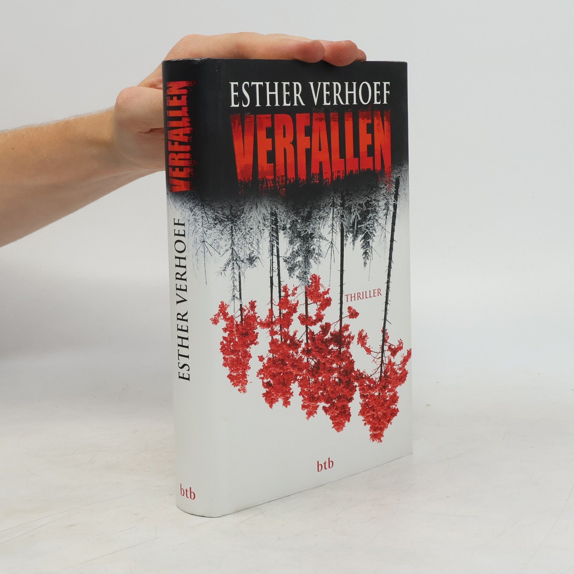 Esther Verhoef Verfallen