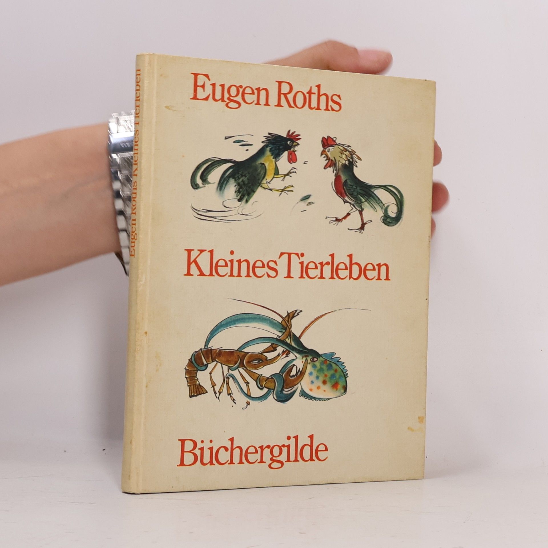 Kleines Tierleben