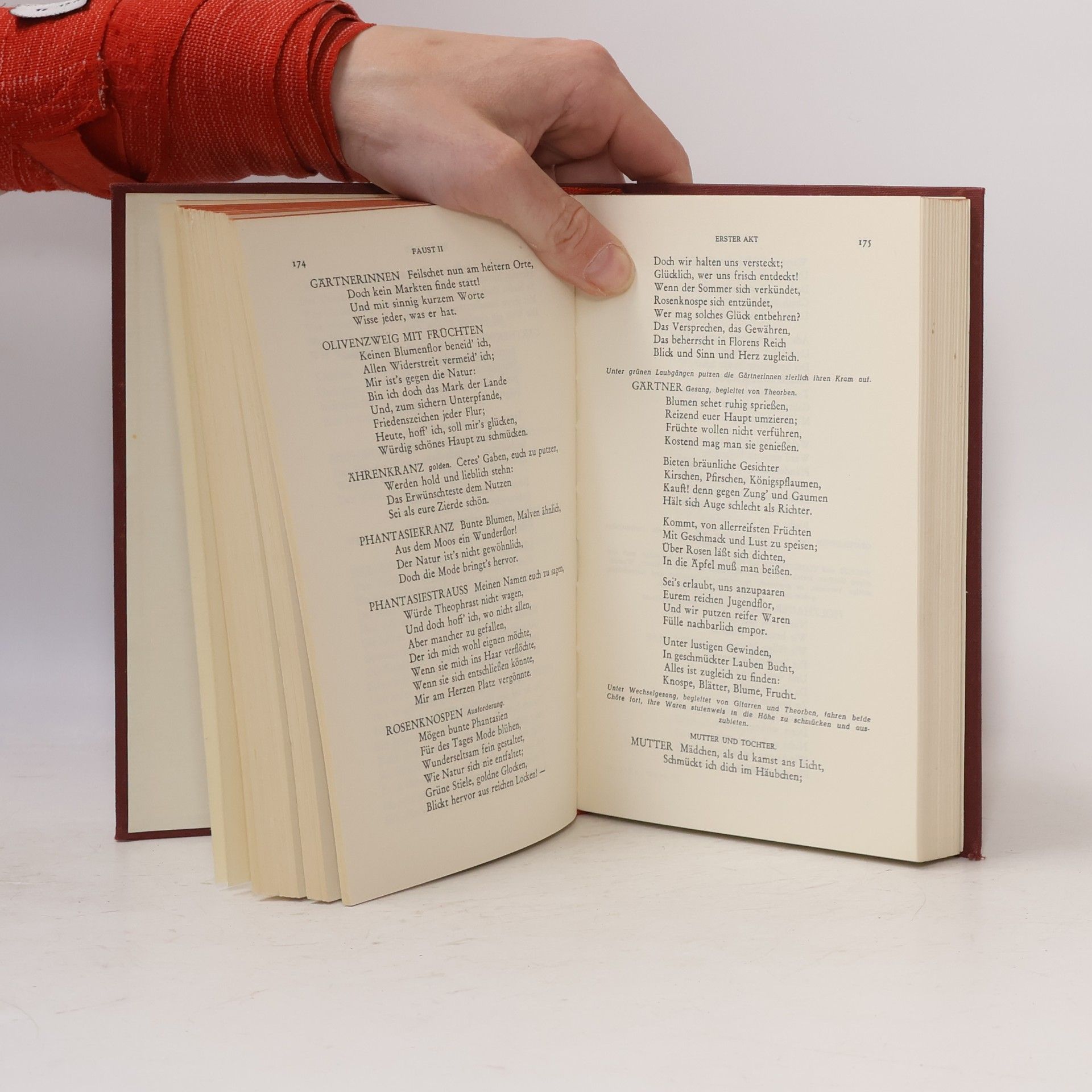 Johann Wolfgang von Goethe Goethes Werke V. Faust