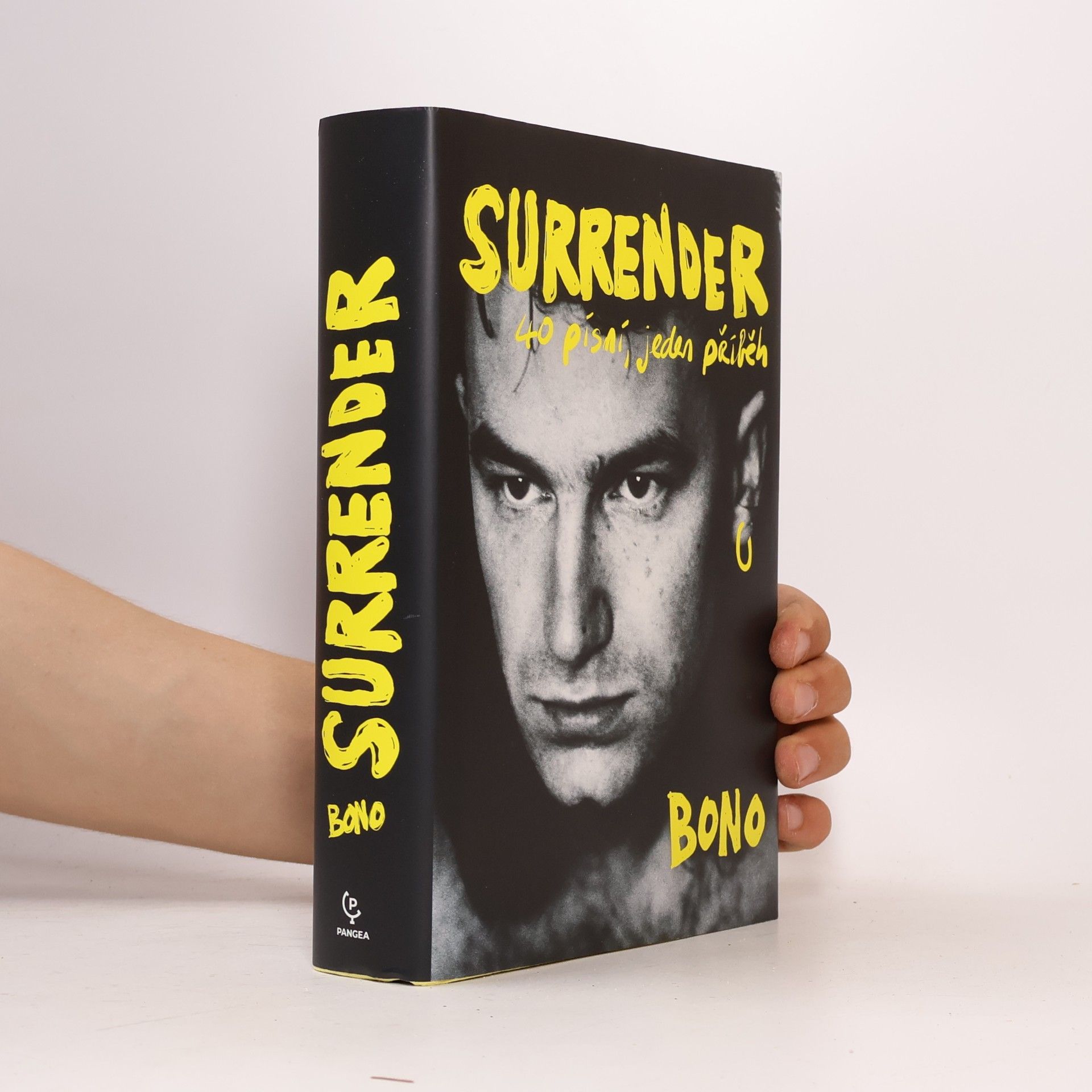 Bono Surrender : 40 písní, jeden příběh