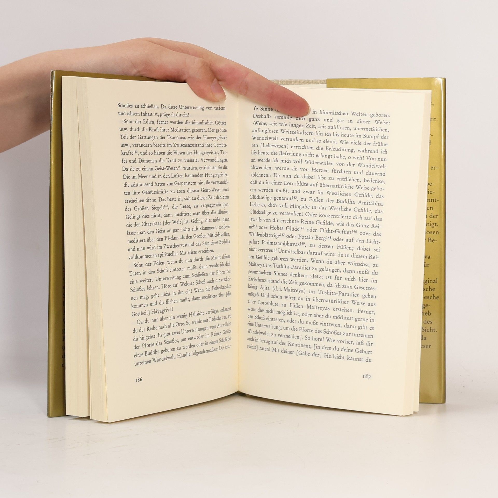 Eva K. Dargyay Das tibetische Buch der Toten