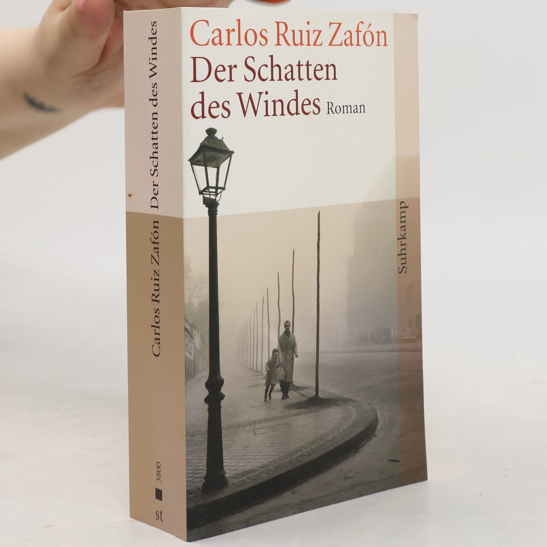 Carlos Ruiz Safon Der Schatten des Windes