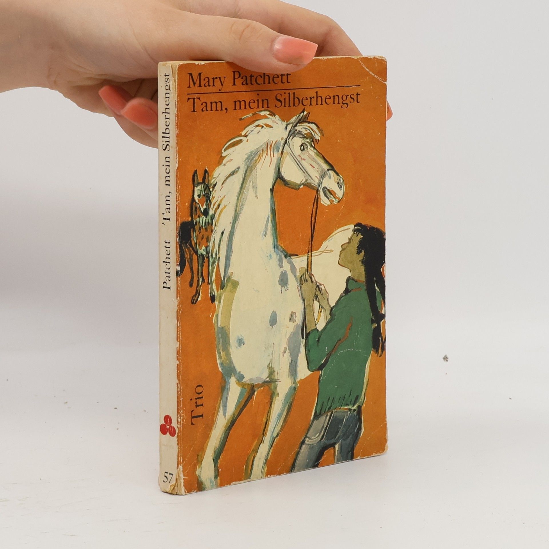 Mary Elwyn Patchett Tam, mein Silberhengst