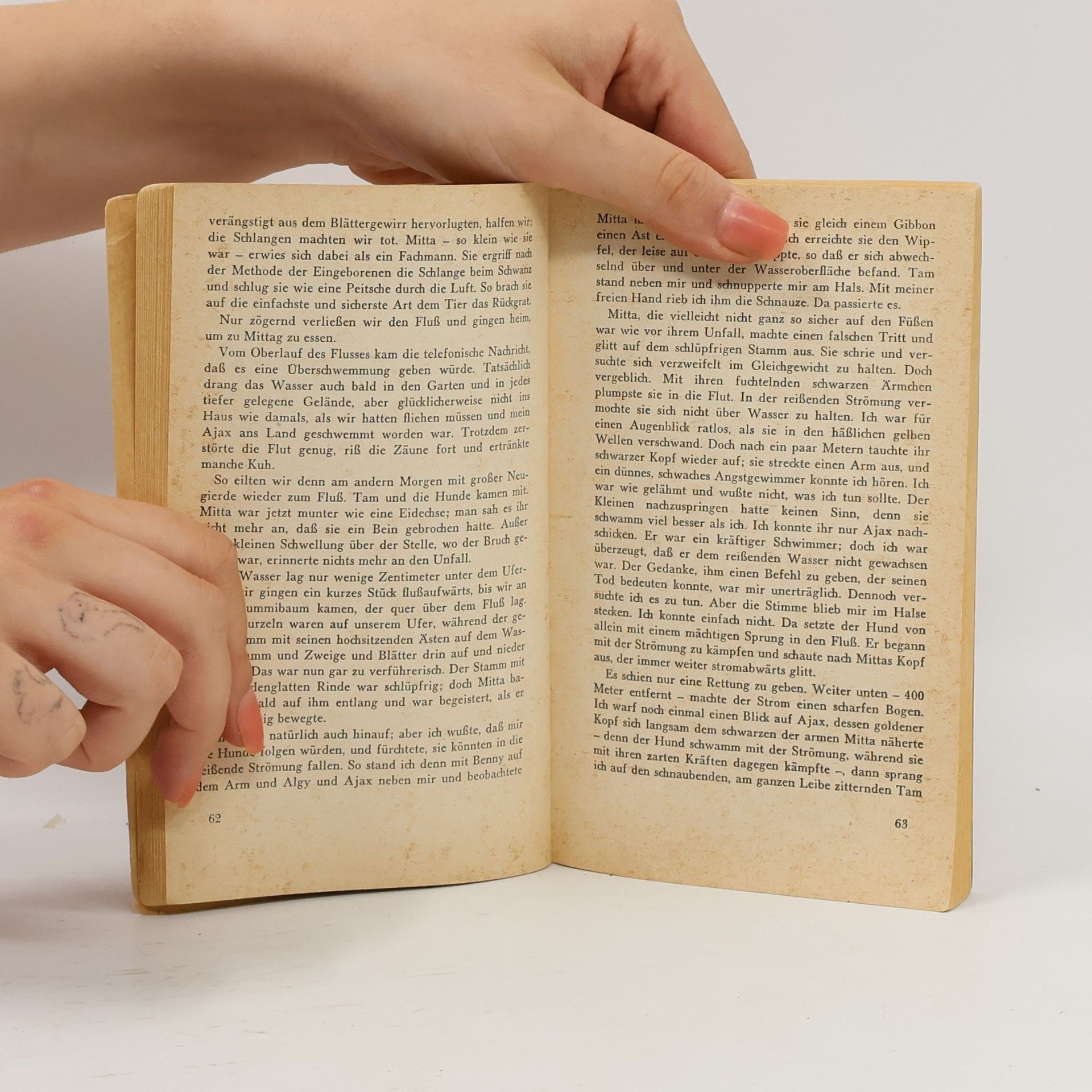 Mary Elwyn Patchett Tam, mein Silberhengst