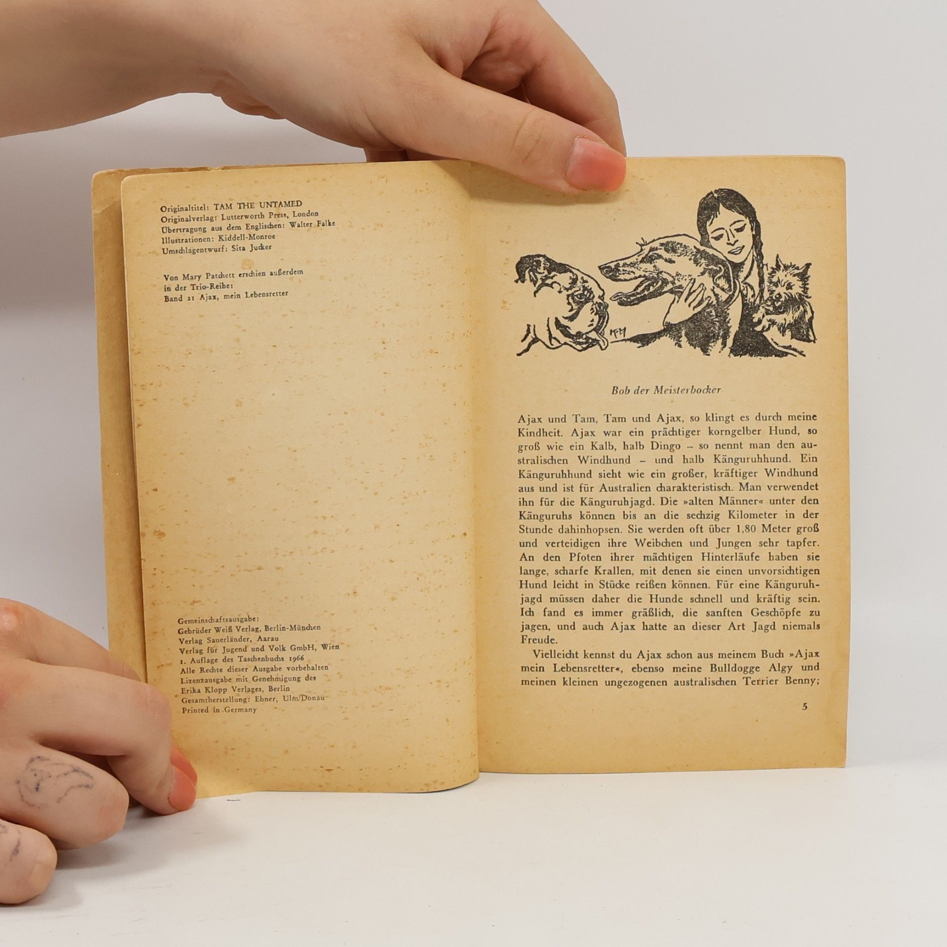 Mary Elwyn Patchett Tam, mein Silberhengst