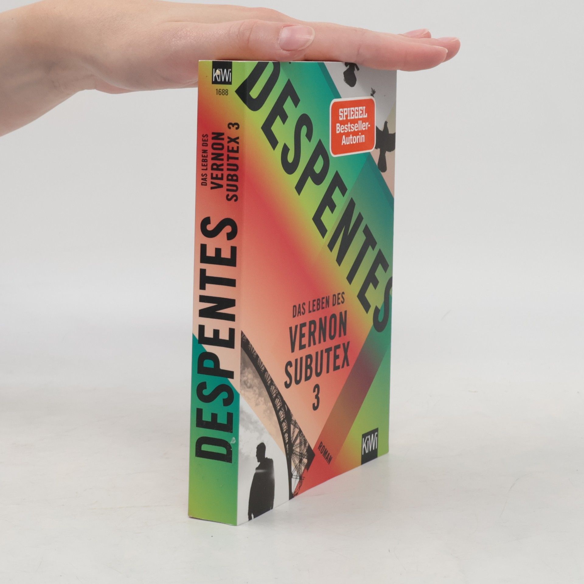Virginie Despentes Das Leben des Vernon Subutex 3