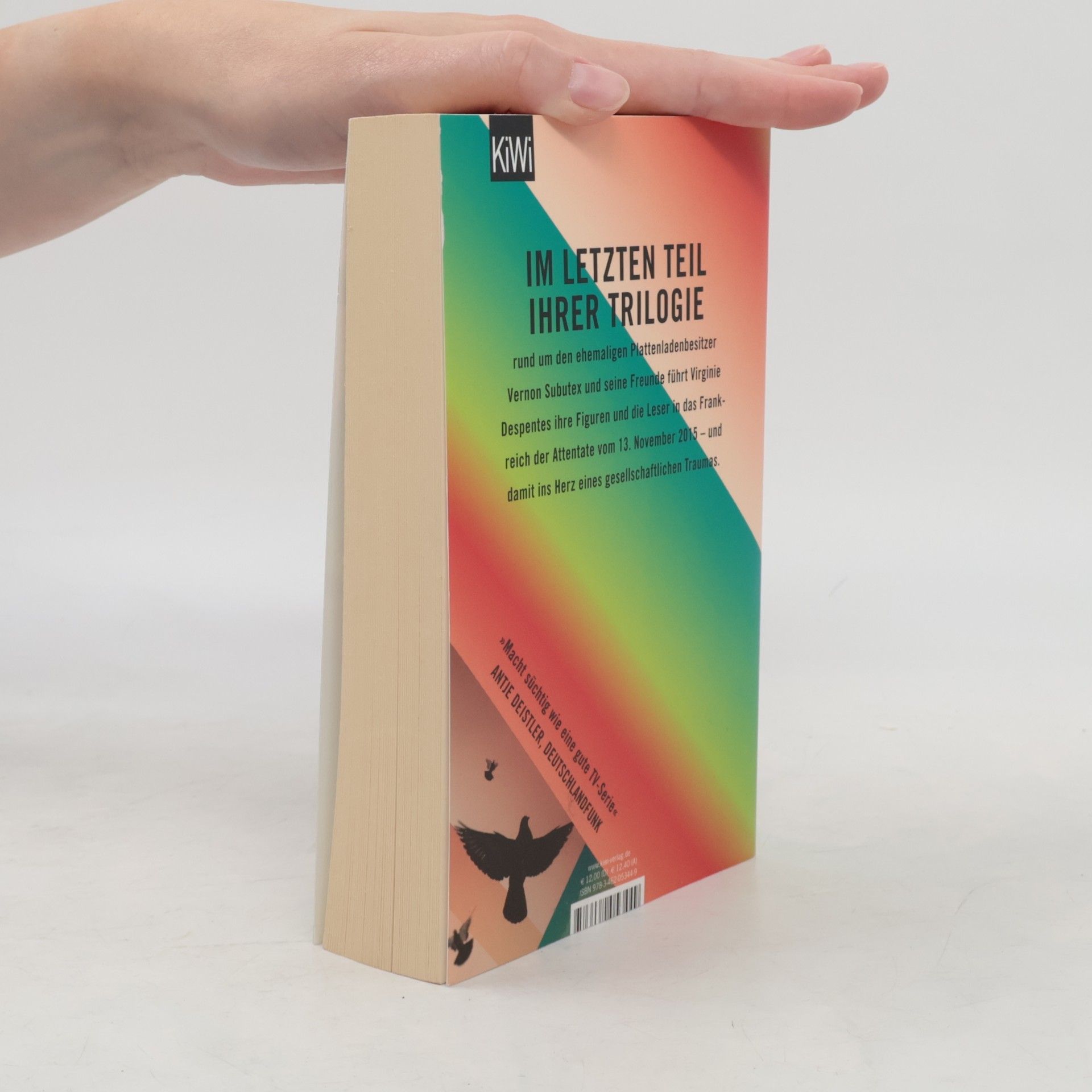Virginie Despentes Das Leben des Vernon Subutex 3